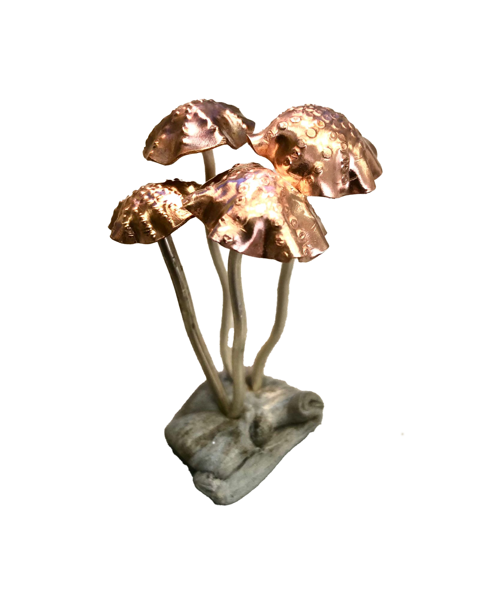 Mushroooms.png