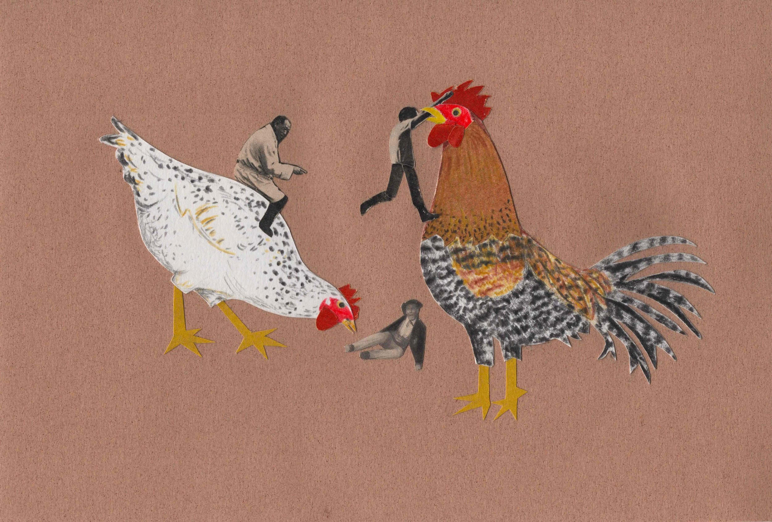 Copy of 'PECKING ORDER'.jpg