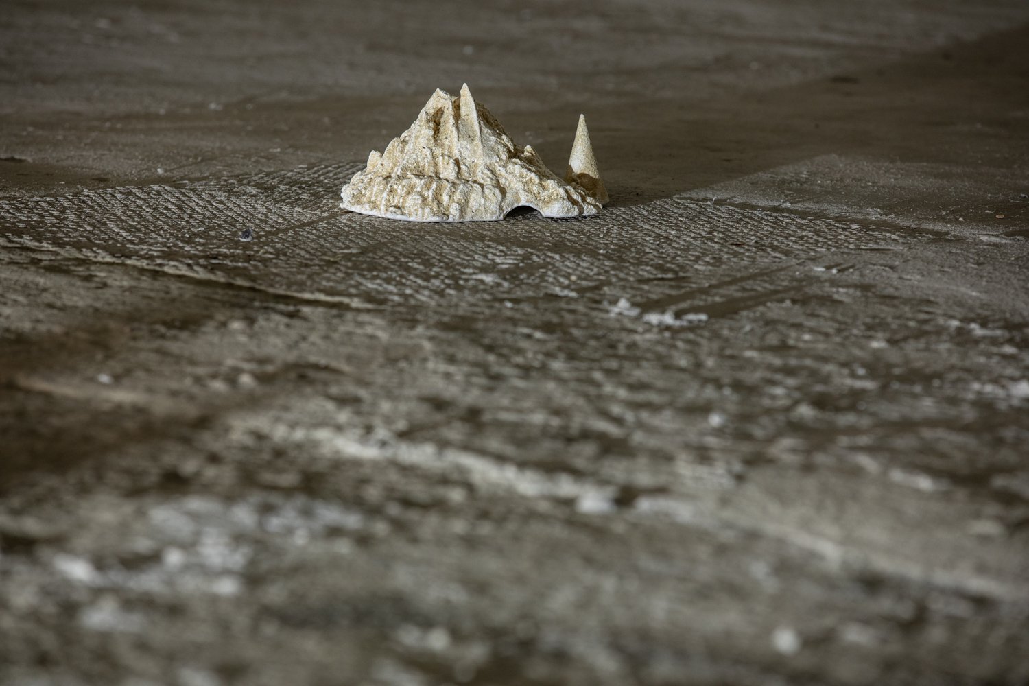 Archipelago-edit--8905.jpg