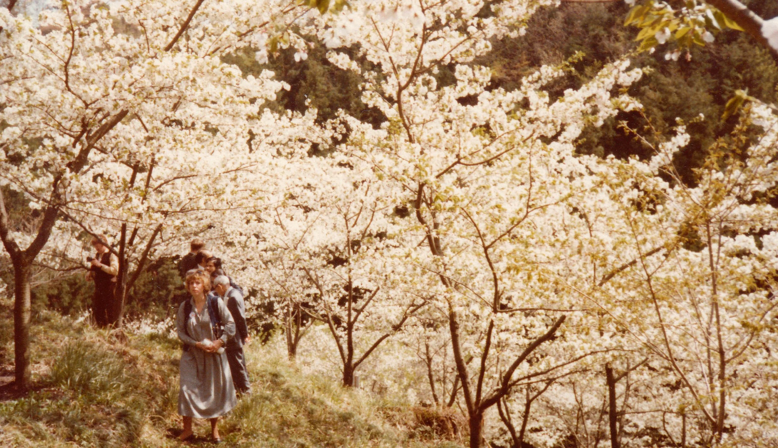 Unmade_in_Japan_06