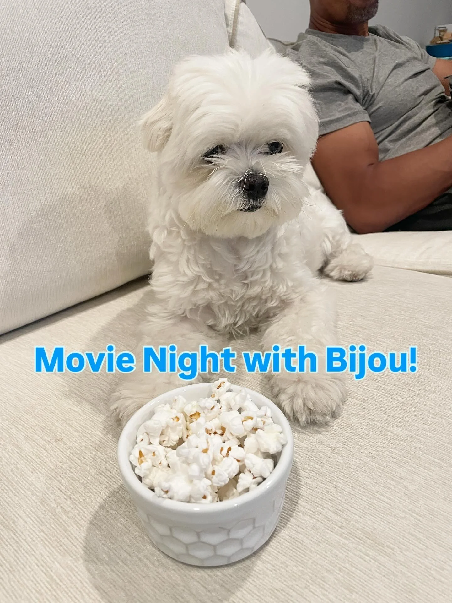 Bijou loves popcorn just like me!❤️🐾