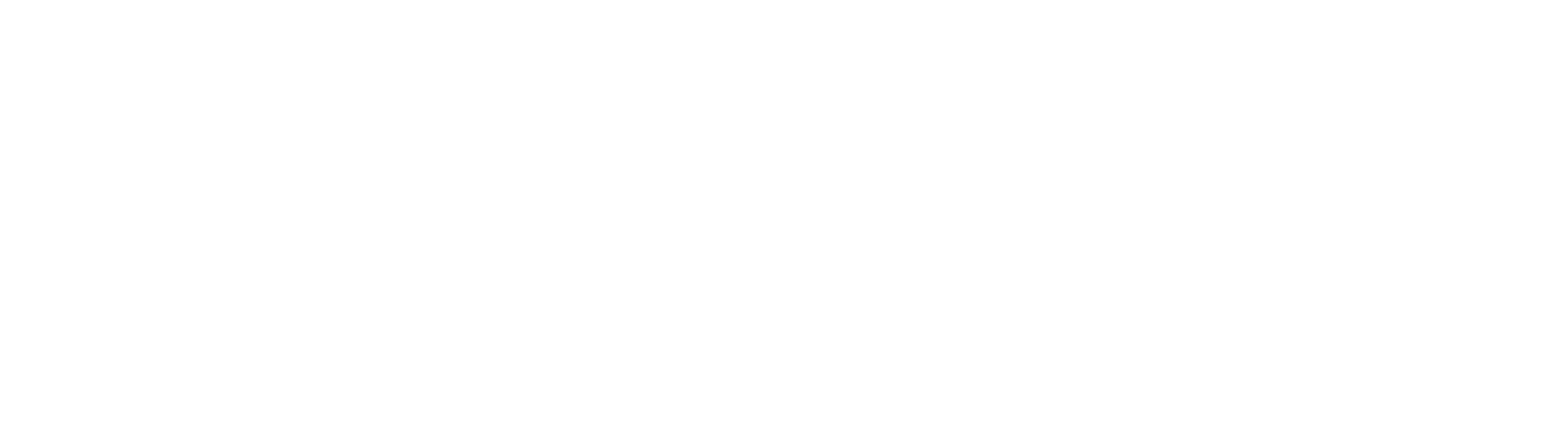 Sports coaching logo with the text 'DSI ATHLETE SPORTS COACHING' in bold uppercase letters, with a star icon on the left.