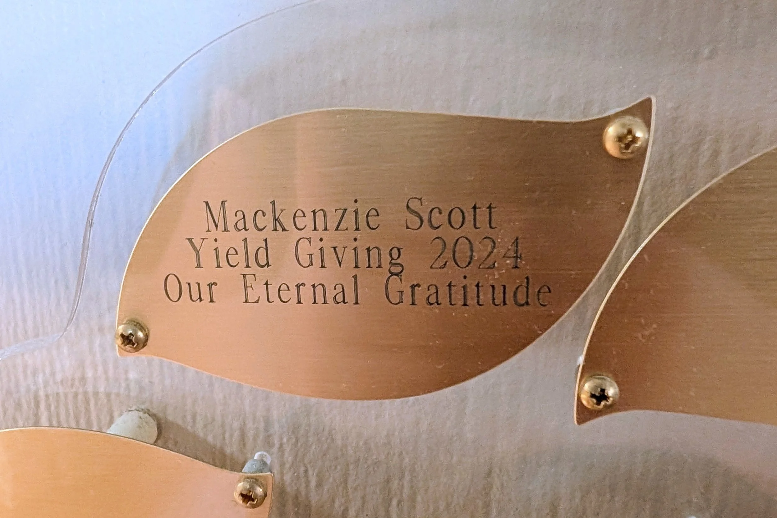 Ordinary: Spiritus Christi Prison Outreach and MacKenzie Scott