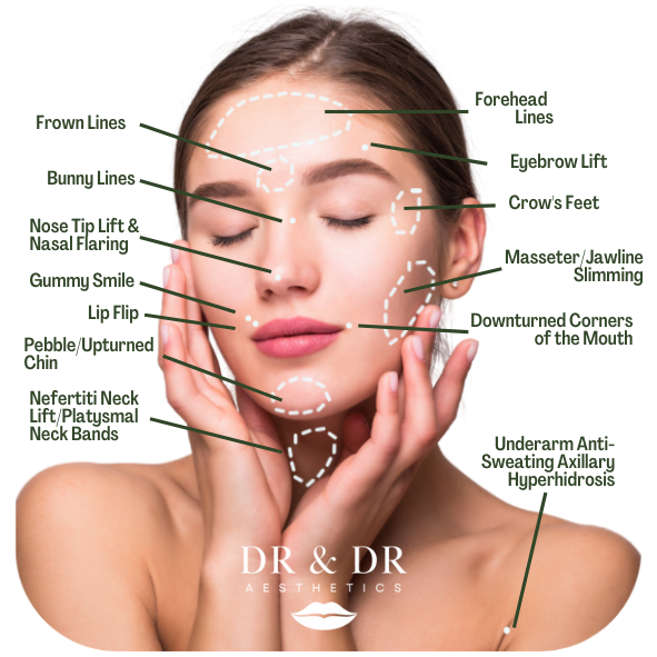 A woman with hands gently touching her face, demonstrating facial features with labels for each area including eyebrows, eyelids, nose, lips, chin, cheeks, and jawline, along with skincare or aesthetic points like bunny lines, crow's feet, and hyperhidrosis.