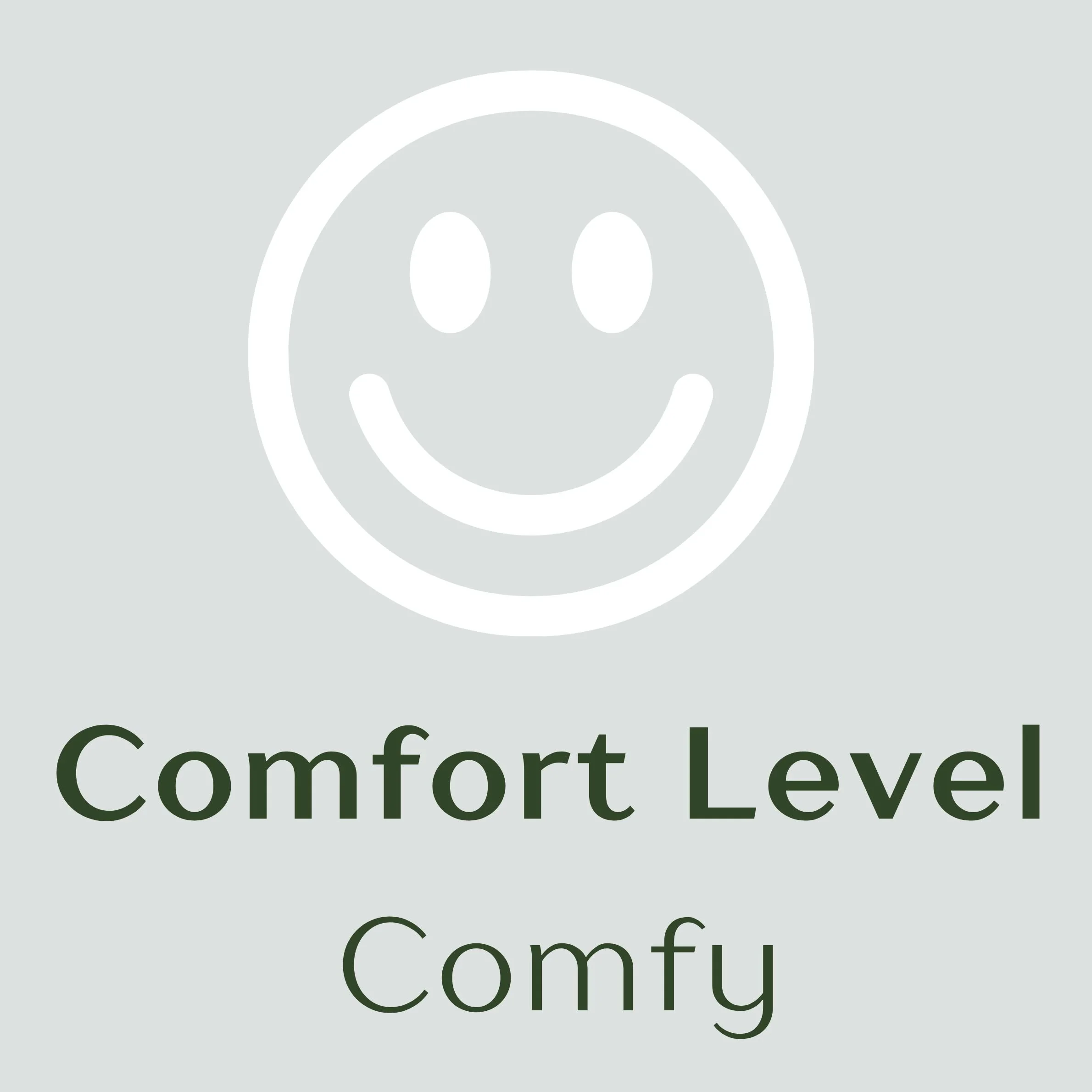 Graphic with a smiley face icon, text 'Comfort Level' and 'Comfy' on a light gray background.