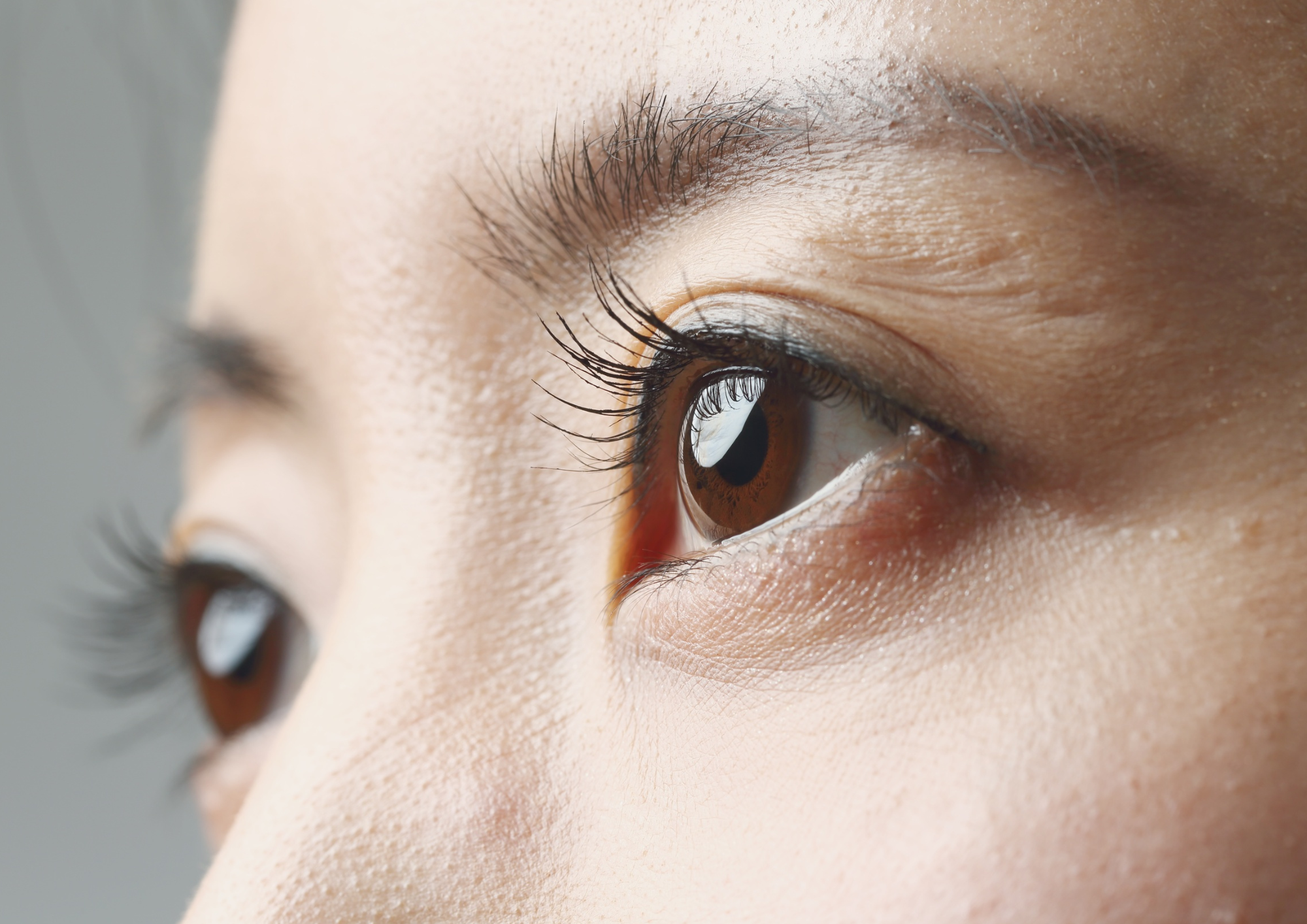 Close-up of a person's brown eye with long eyelashes and groomed eyebrows.
