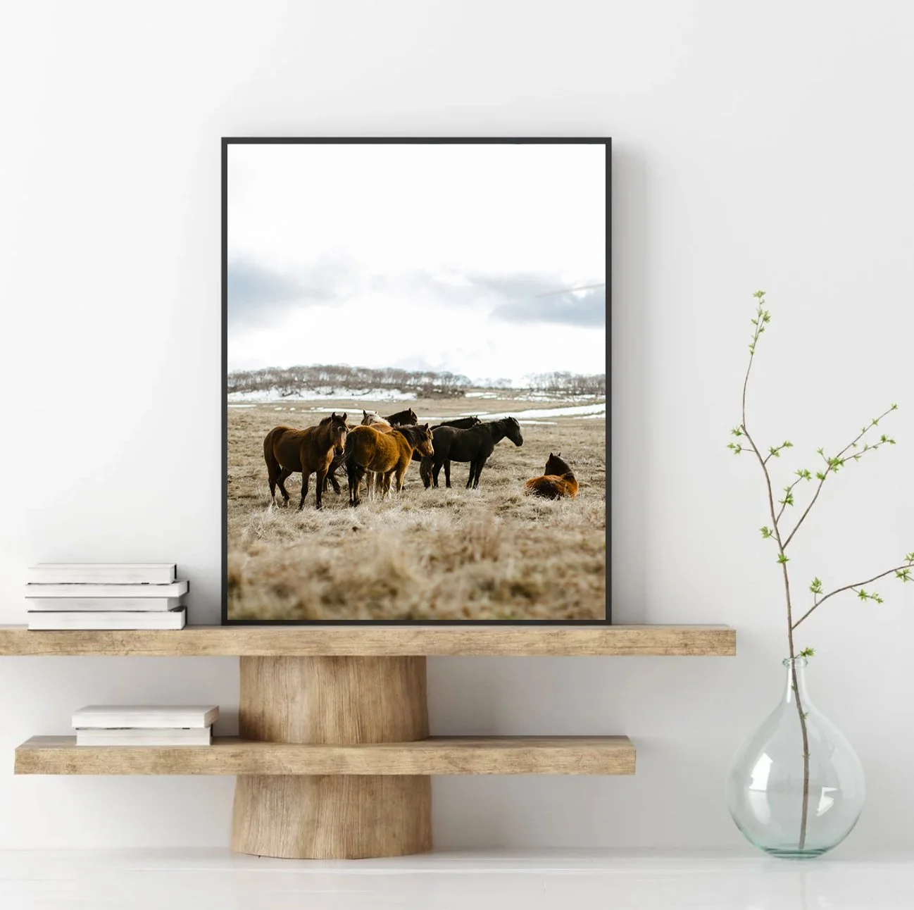 Wild Brumbies
