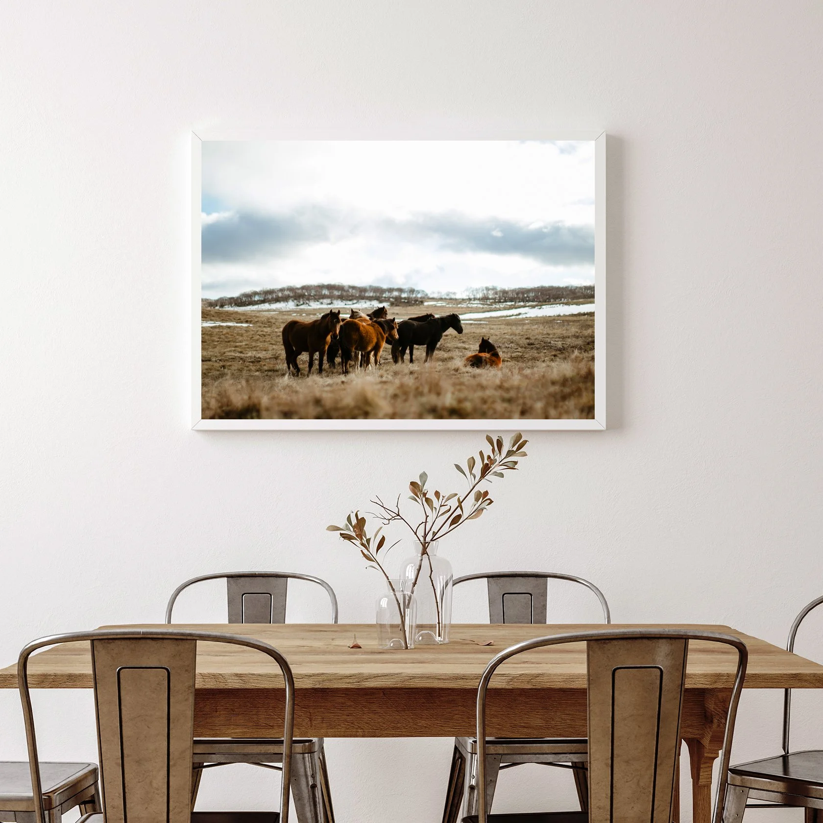 WHITE BRUMBIES BY JENNIFER BORG.jpg