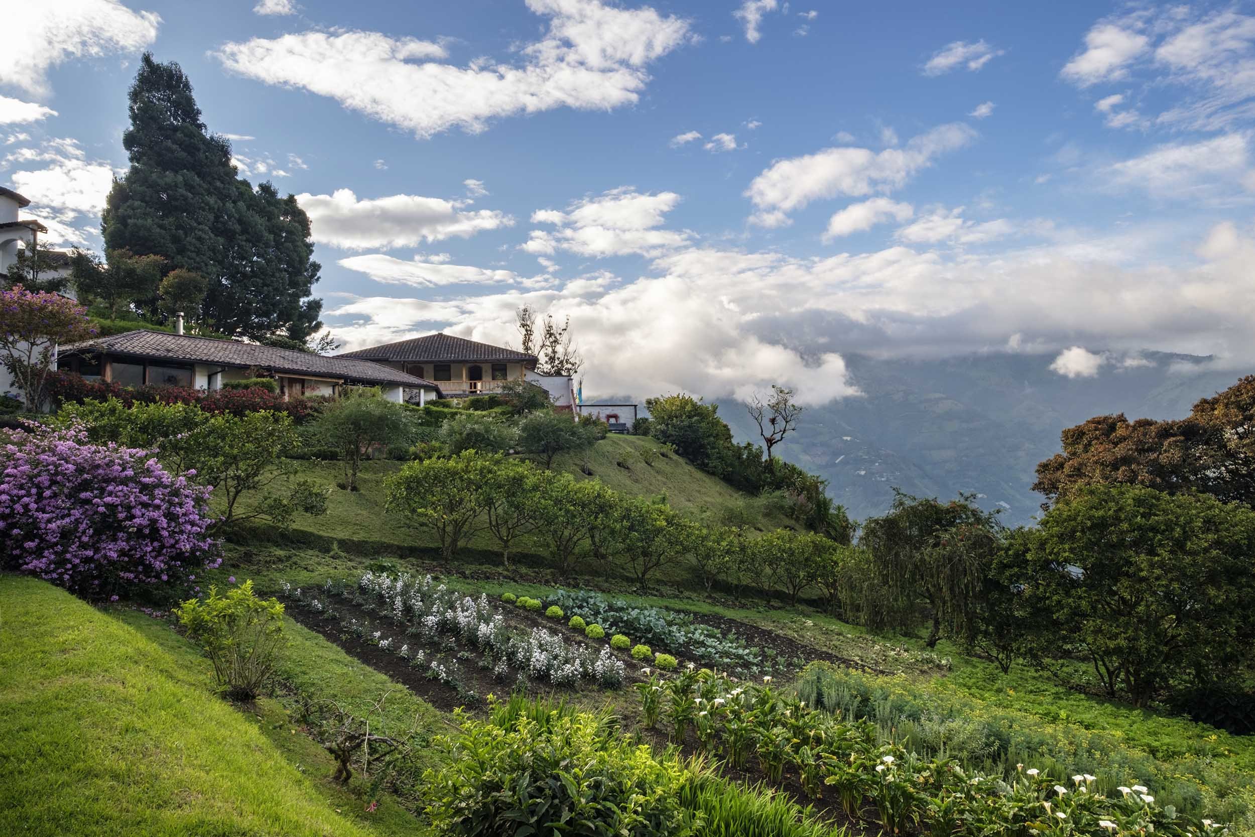 Organic orchards and view - Luna Volcan - Hotel in Banos Ecuador.jpg