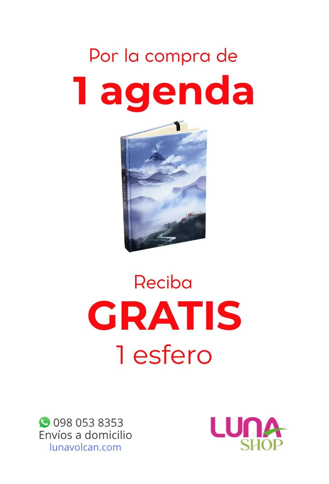 Luna Shop10.jpeg