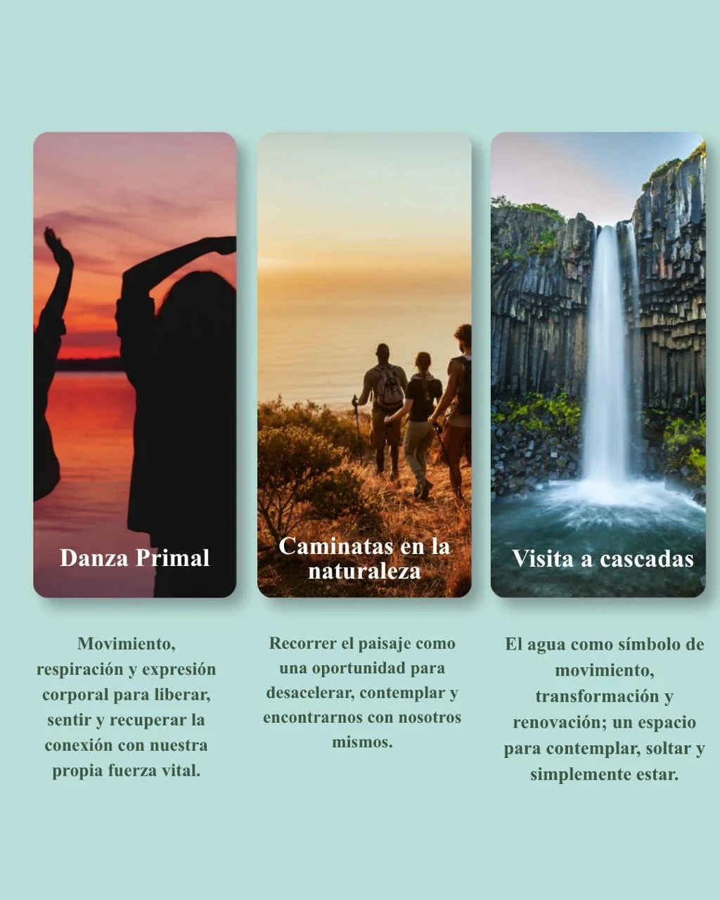 4 Retiro Volver al sentido.jpeg
