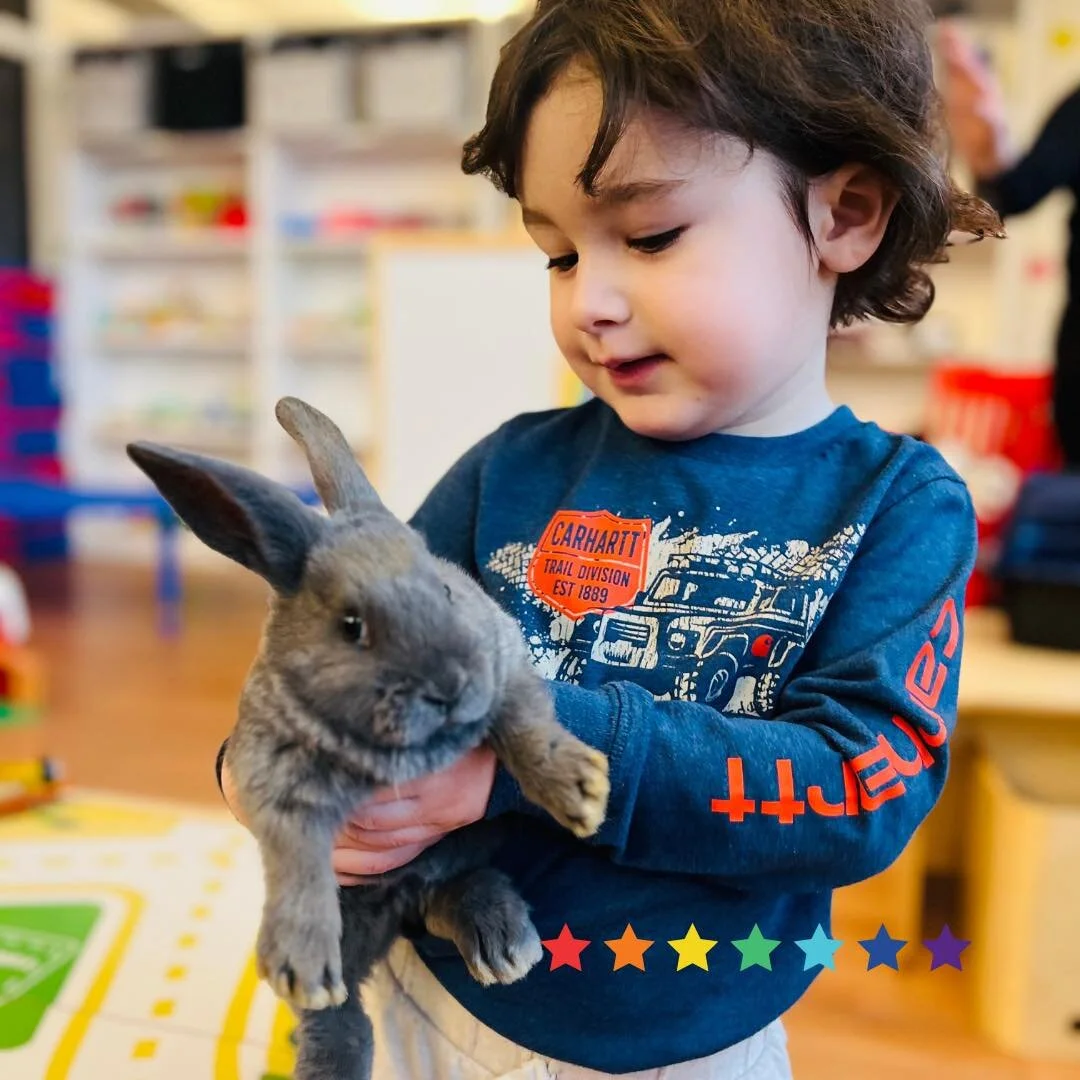 ✨🐰 Furry friends with long ears and a
cottontail 🐰✨ hop-hop! It&rsquo;s bunnies 💕