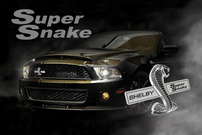 gdisplay_shelbysupersnake.jpg