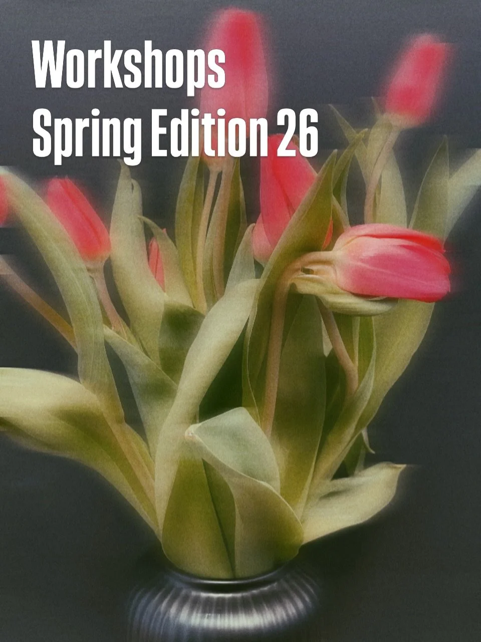 Unsere Fr&uuml;hlings Workshops sind jetzt online buchbar🤸🏽

🤍

Dein One Yoga Team