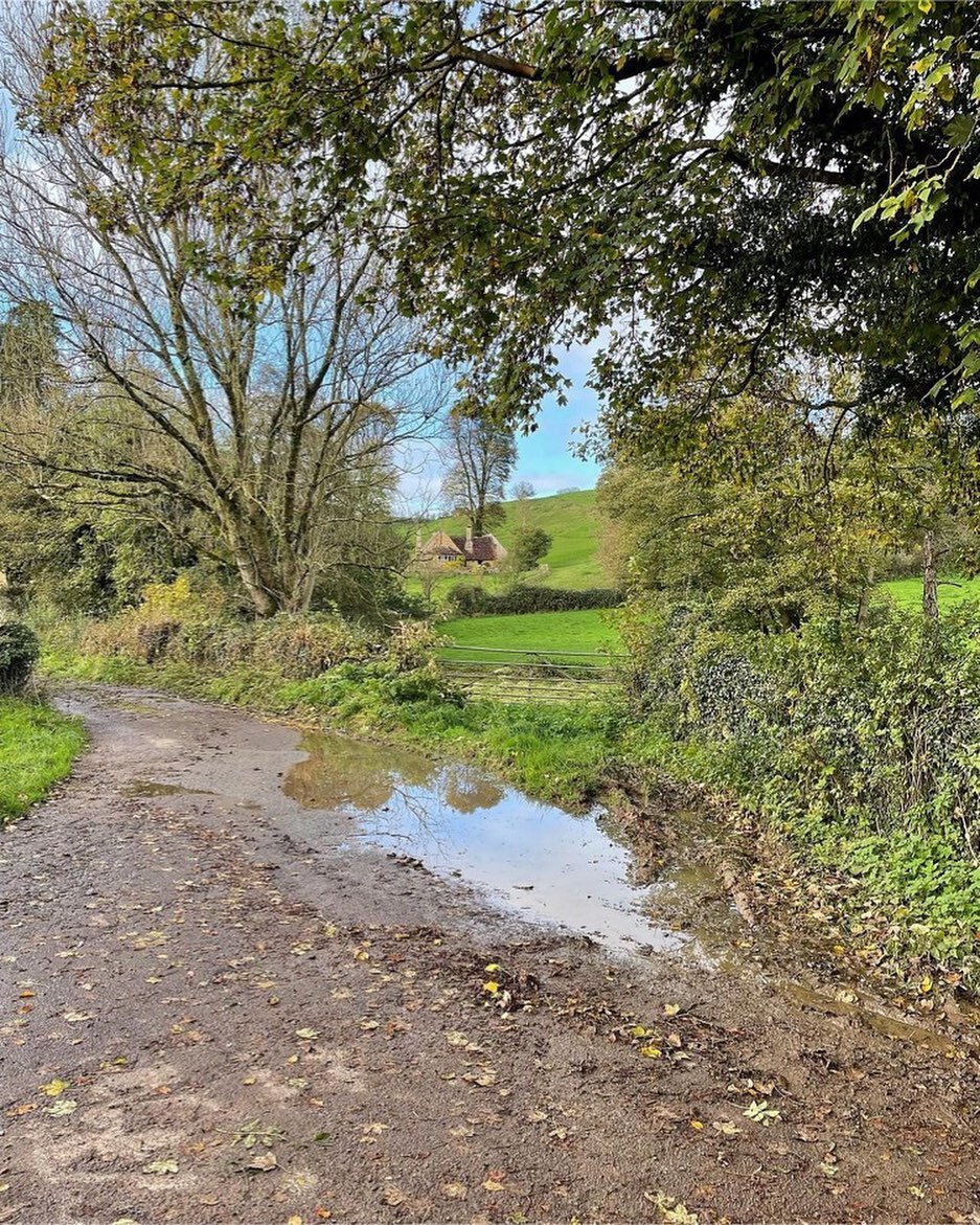 Repost from @craigieemma
&bull;
This puddle is the watery remnant of the millpond at Pitcombe Mill which closed in 1851. 

Thanks to everyone who came to my @brutonmuseum talk on the history of Pitcombe last night.  What a great Festival of History a