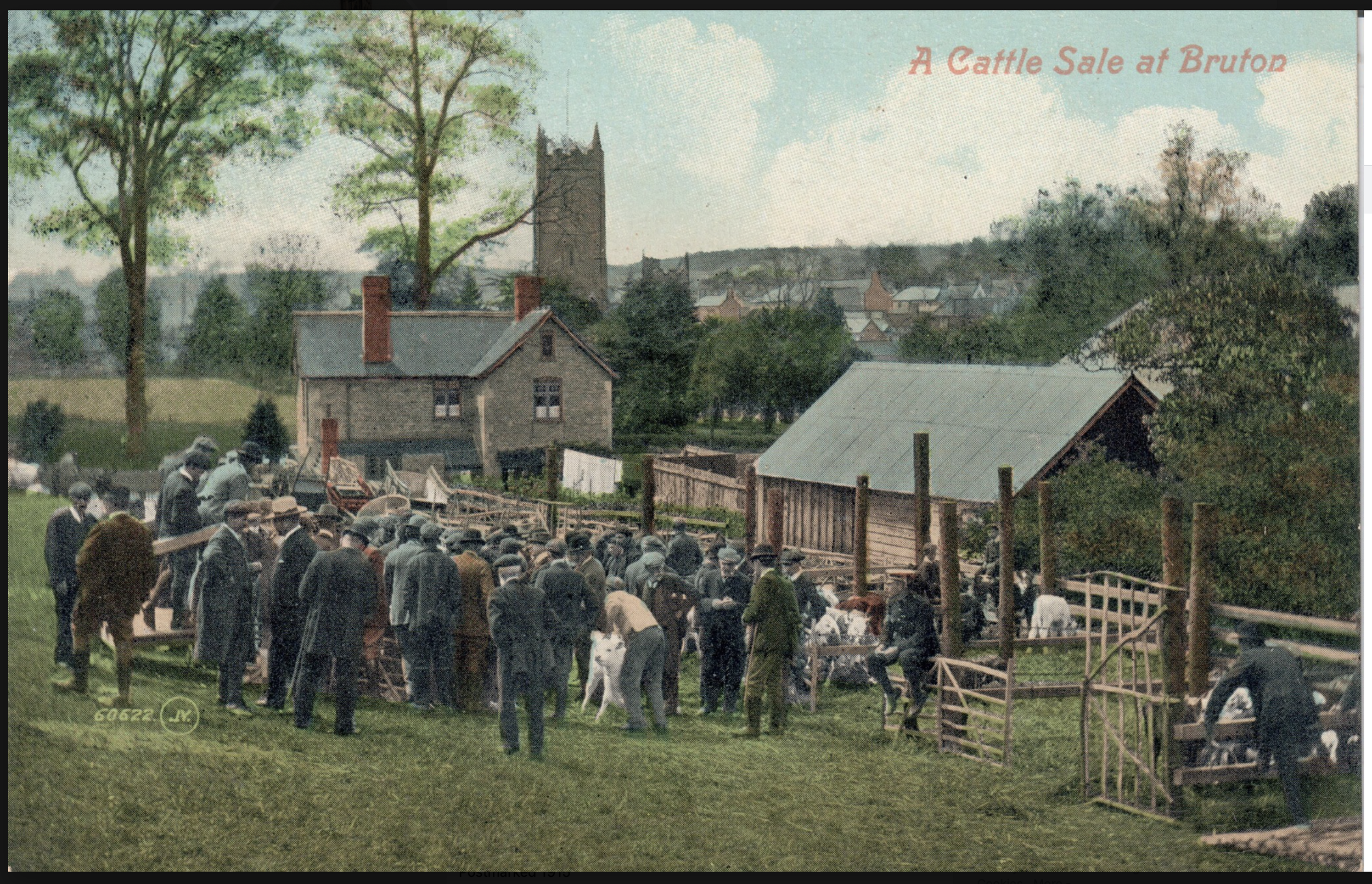 Cattle Sale in Bruton