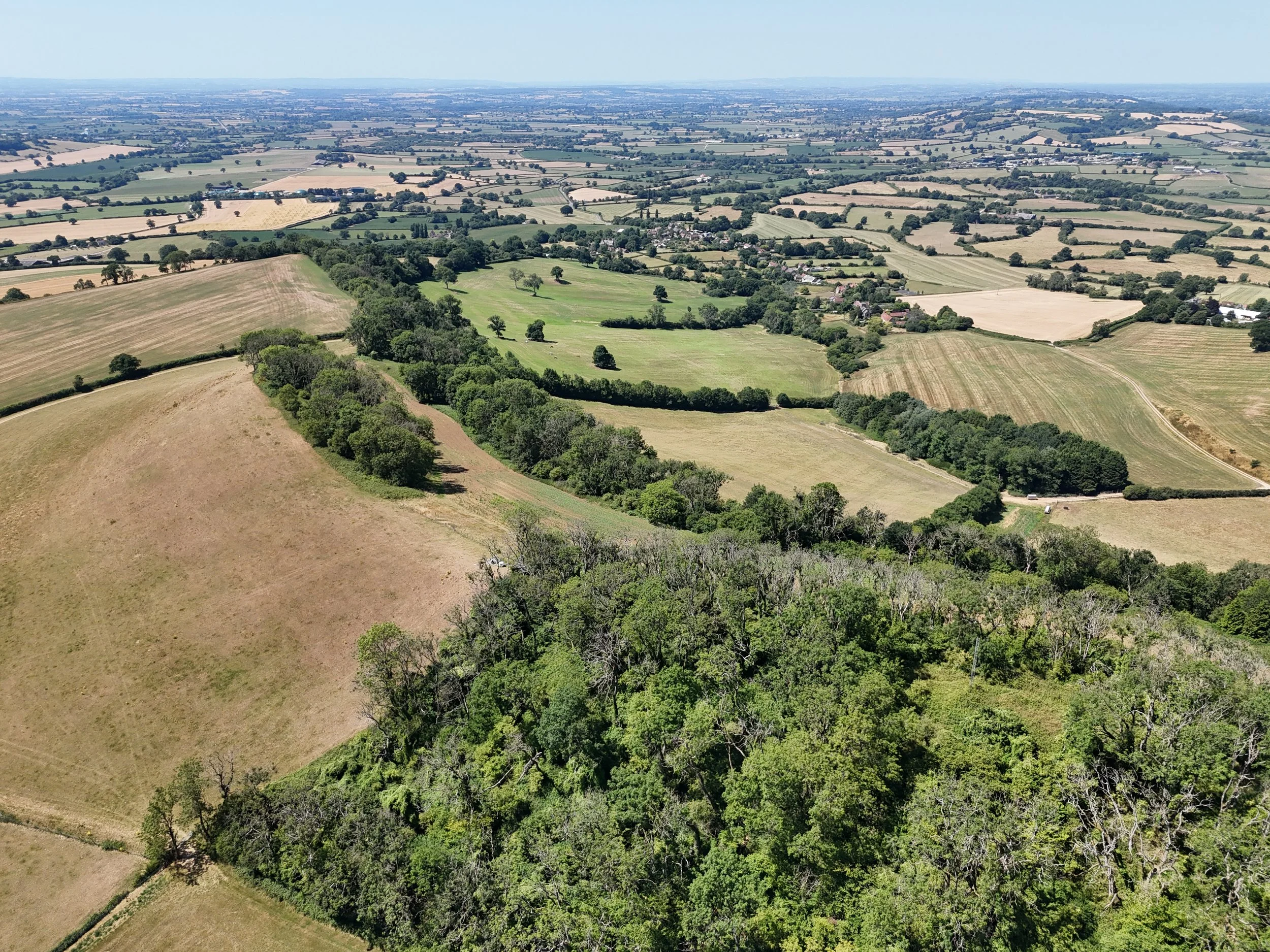 DJI_20250712123218_0730_D.JPG