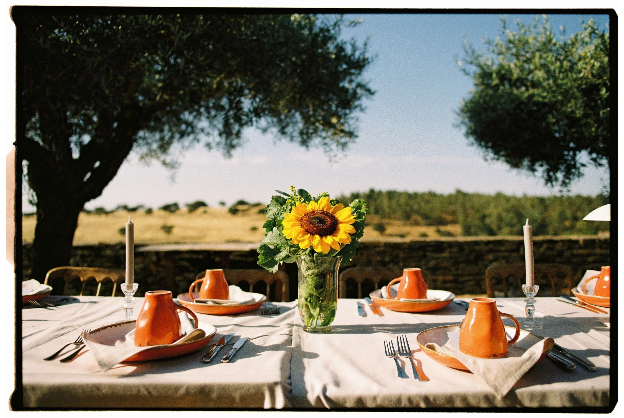 Outdoor dining table set with a sunflower centerpiece in a glass vase, terracotta pitchers, plates, silverware, and candles, overlooking a landscape with trees and open fields under a blue sky.