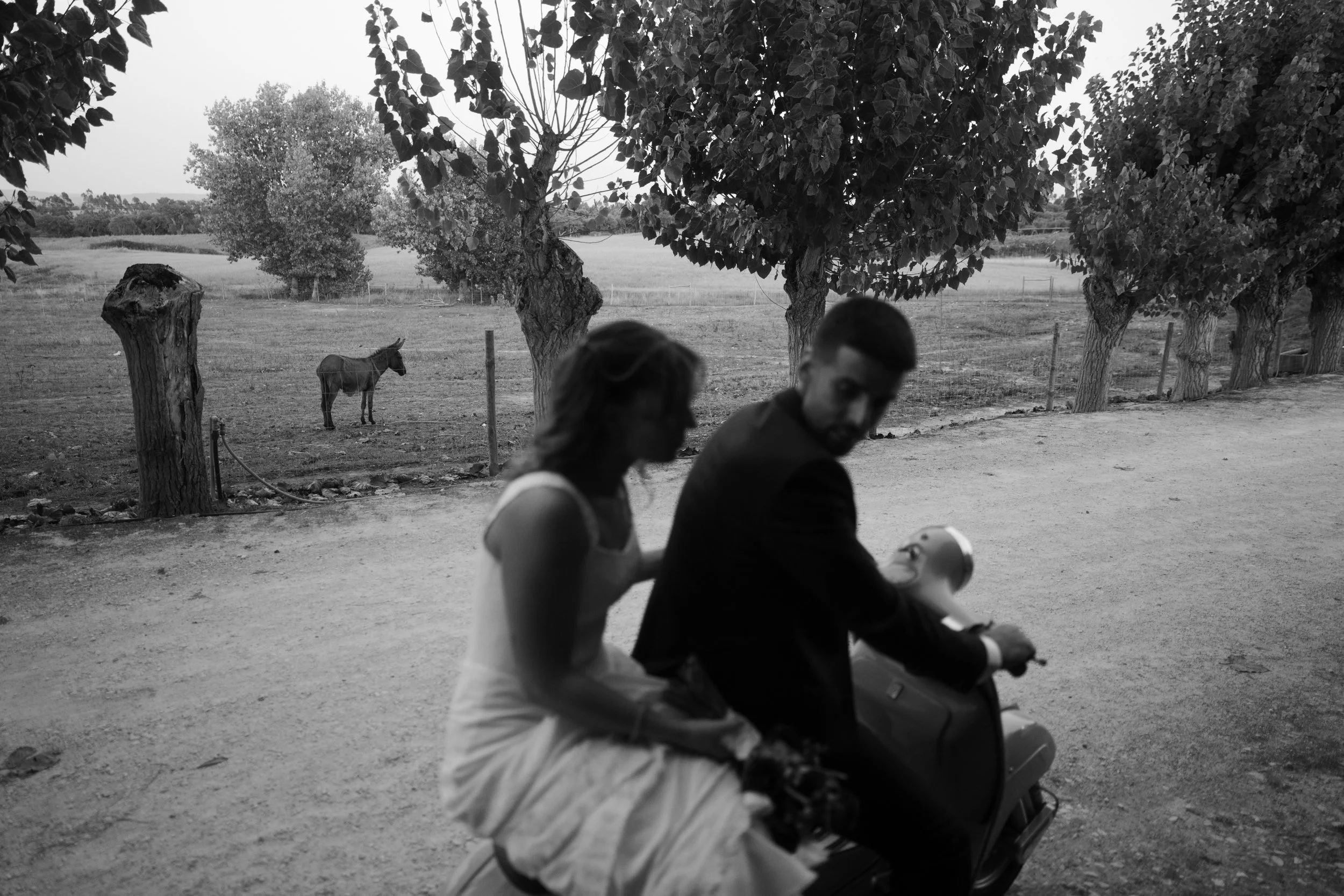 20260831_0033.jpg