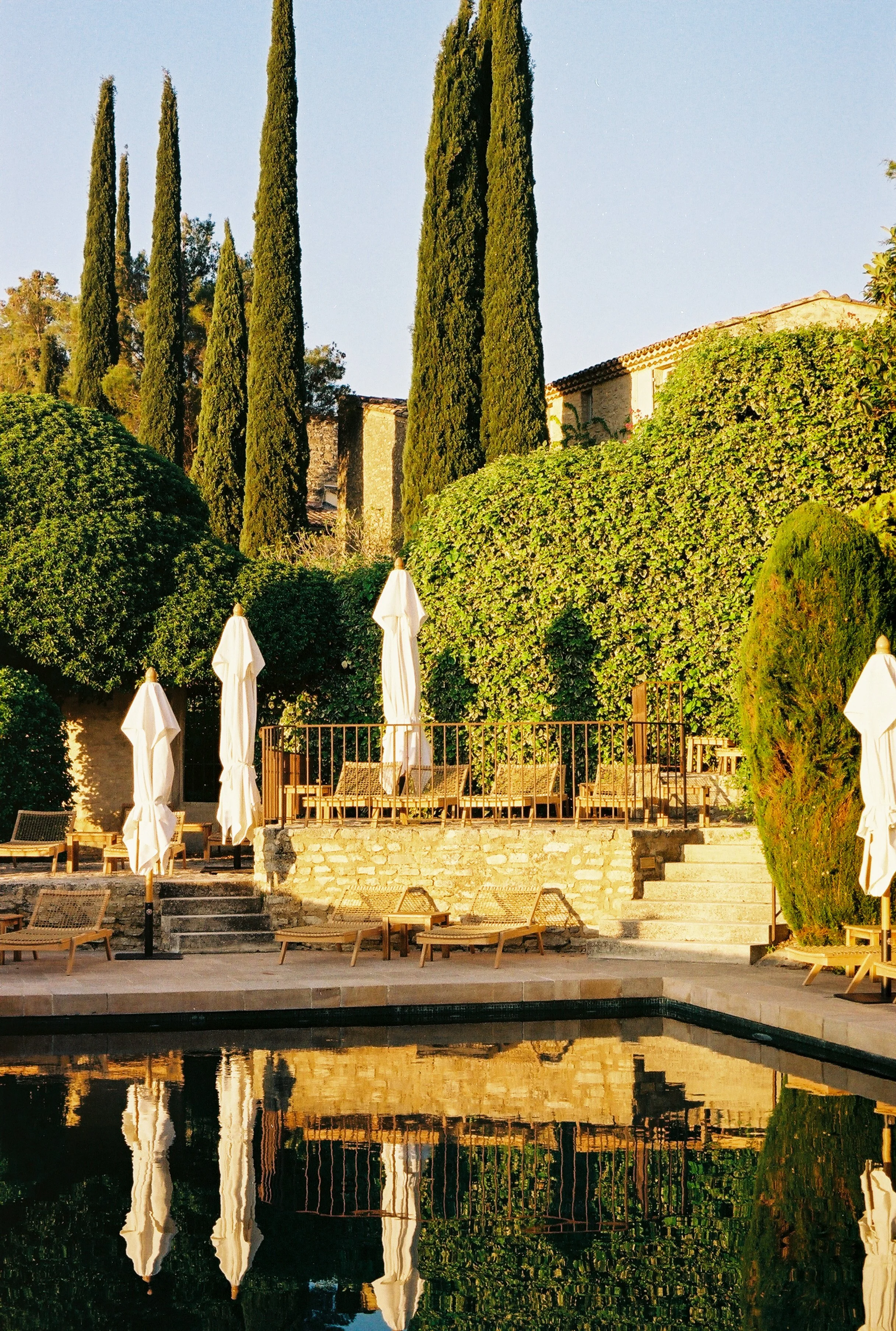 Immagine JPEG 12.jpeg