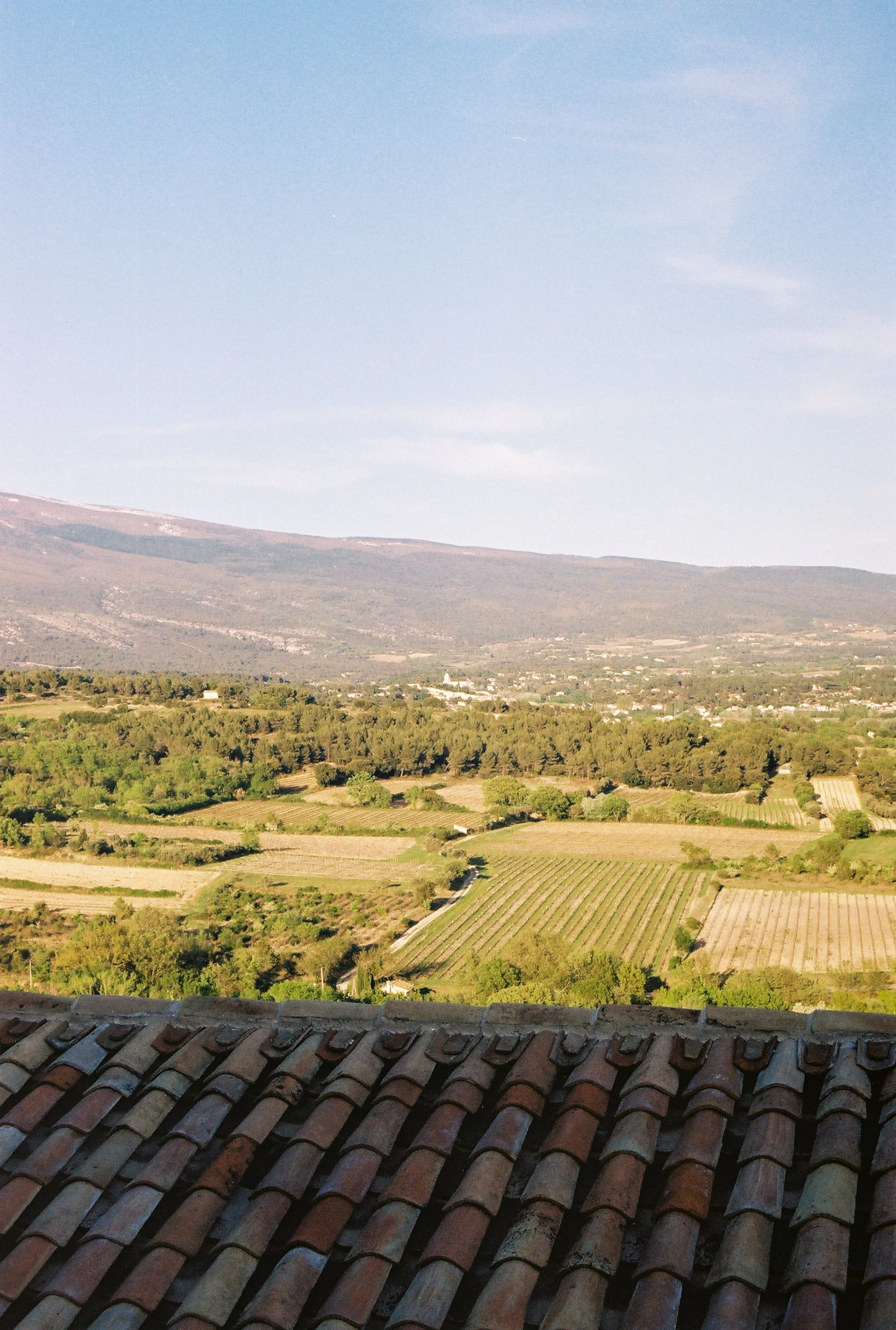 Immagine JPEG 8.jpeg