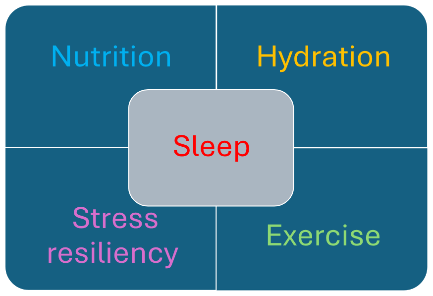 A diagram with a central grey box labeled 'Sleep' surrounded by five colored sections. Each section has a different word: 'Nutrition' in blue, 'Hydration' in yellow, 'Stress resiliency' in purple, and 'Exercise' in green.