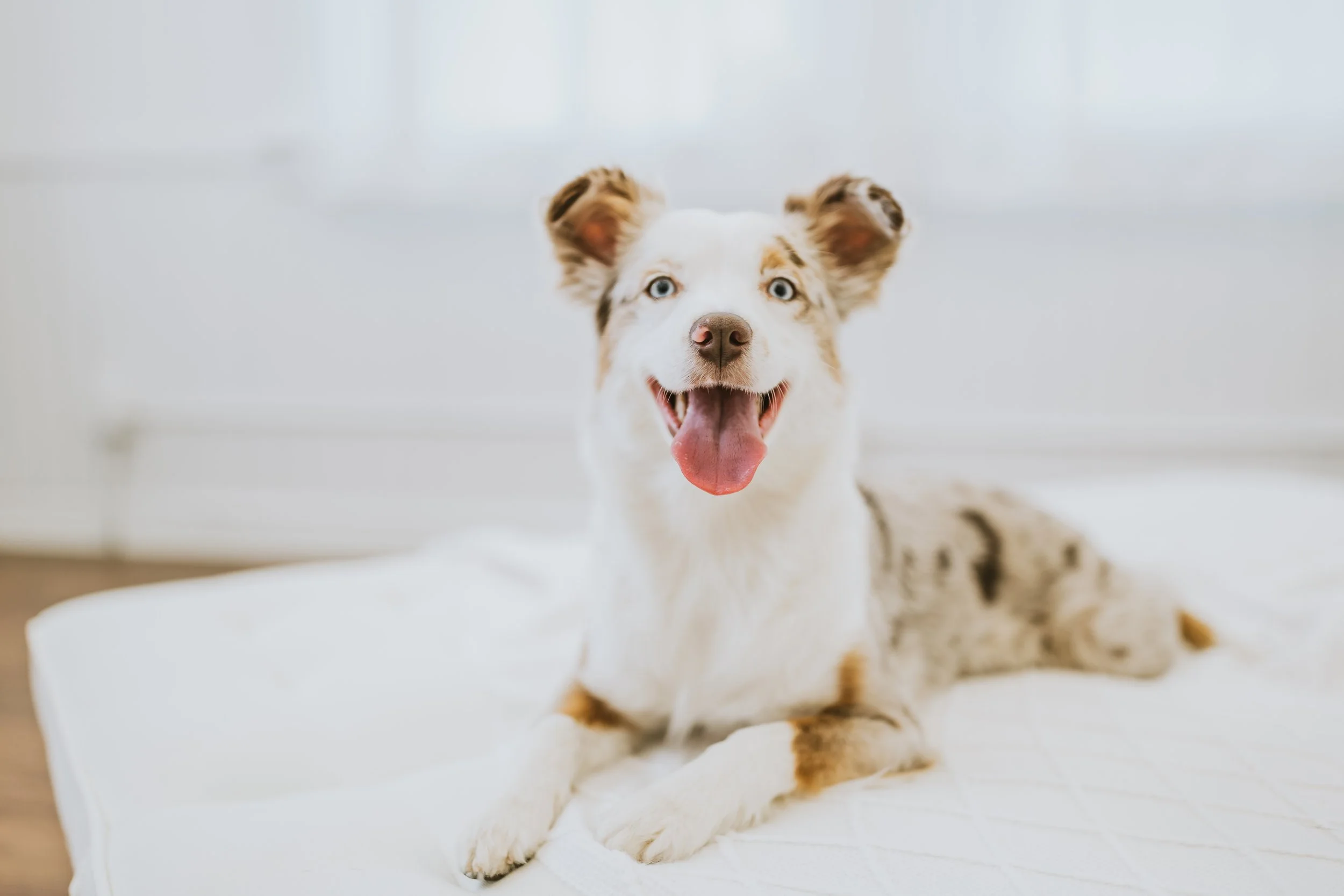 Pacific Mist Photography_Snoho Studio-14.jpg