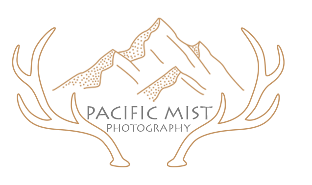 PACIFIC MIST PHOTOGRAPHY | Lifestyle Family and Branding photography | Lake Stevens WA