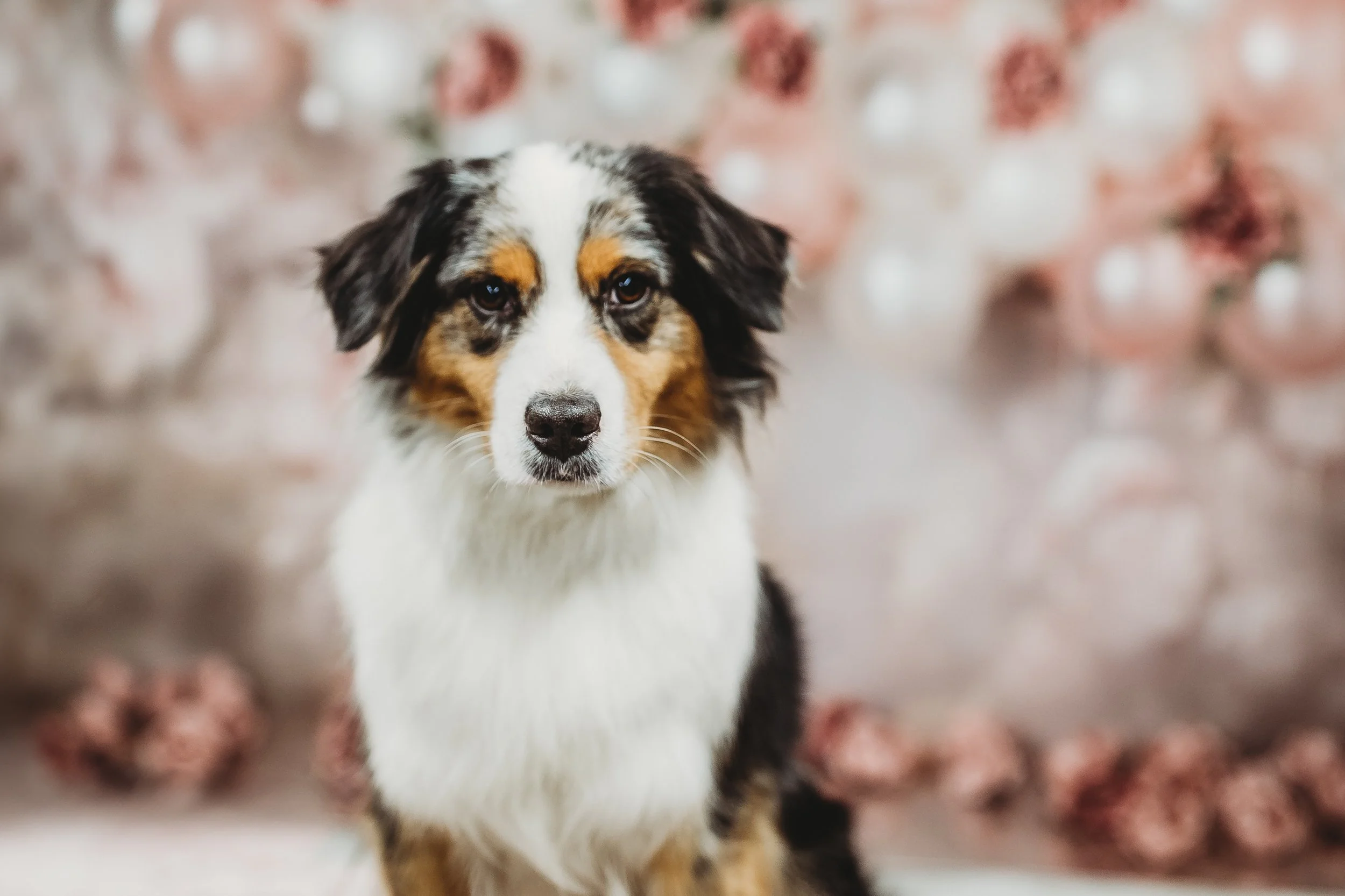 Pacific Mist Photography_Daisy + Creed-26.jpg