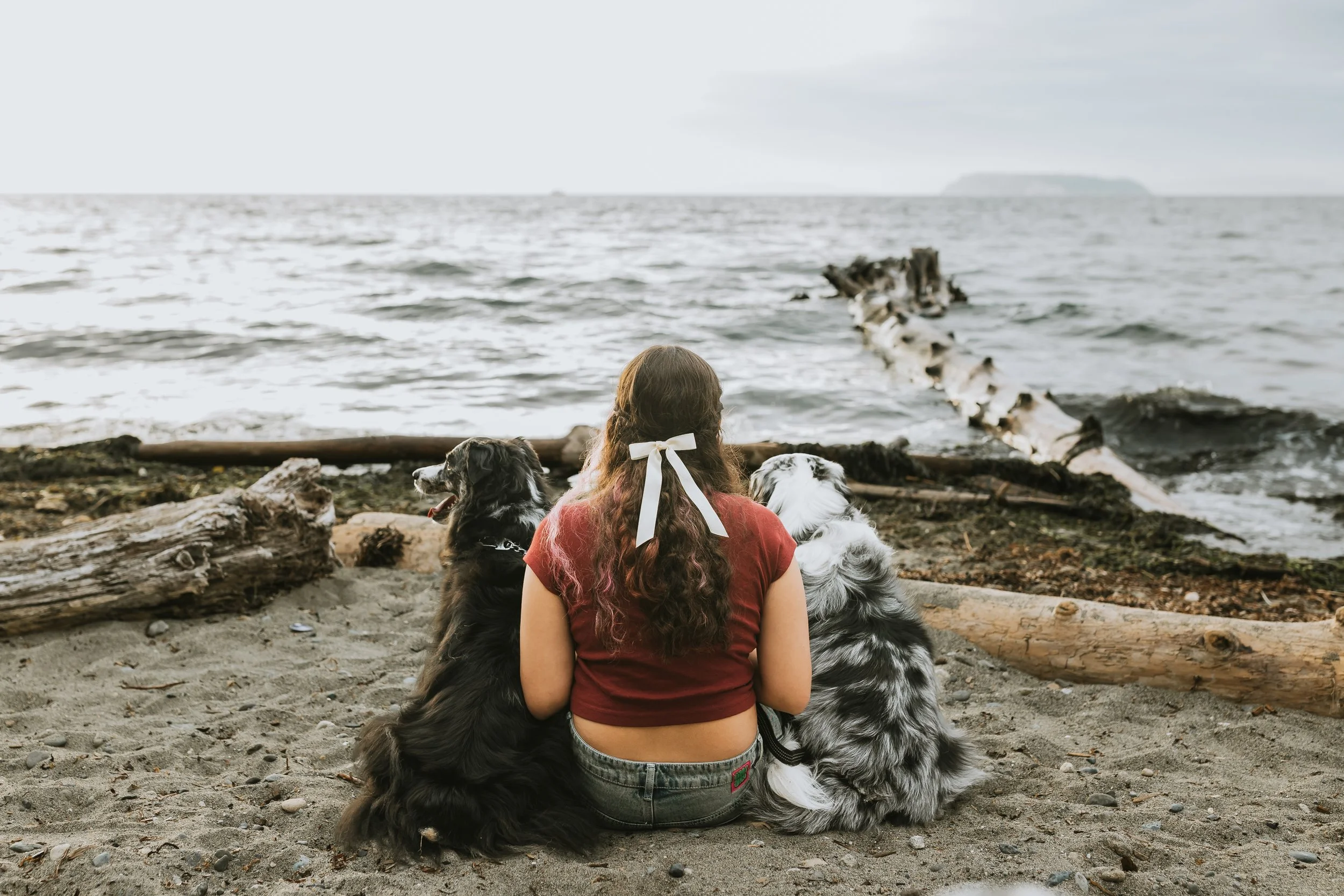 Lake Stevens Lifestyle photographer, Seattle Pet Photography, pet photography Lake Stevens, Snohomish pet session