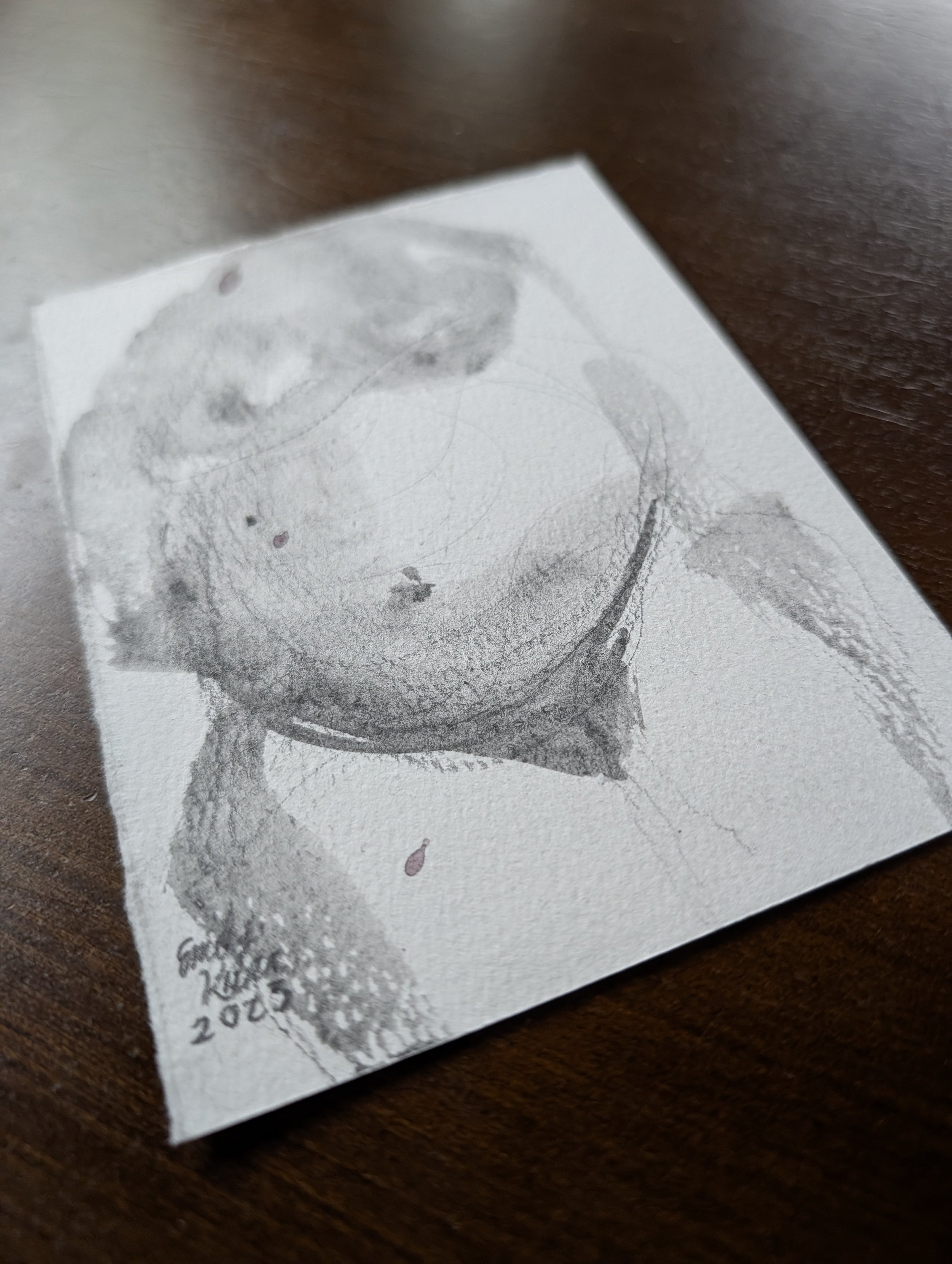 PXL_20260713_003456454 (1).jpg