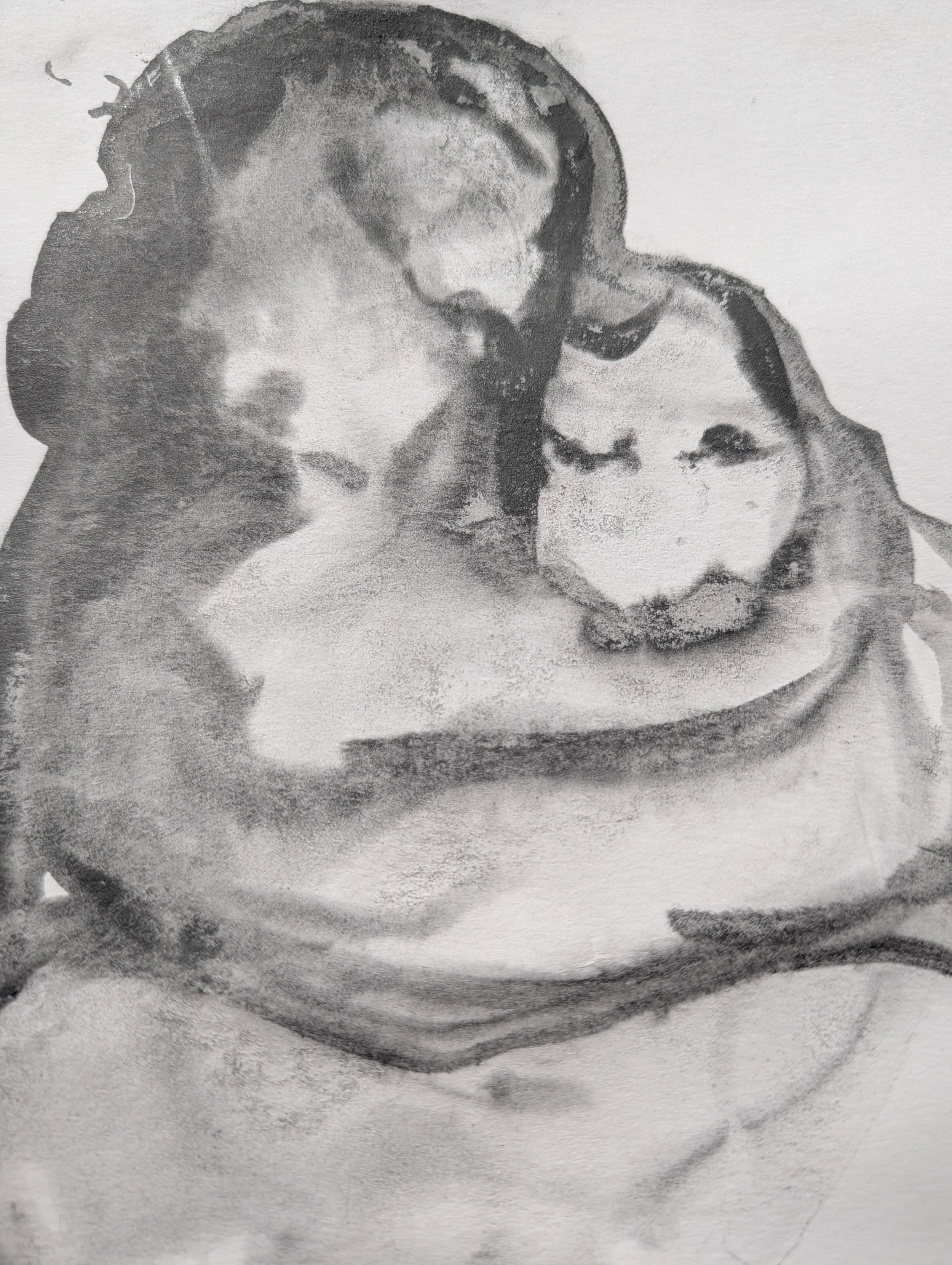 PXL_20260713_003240041.jpg