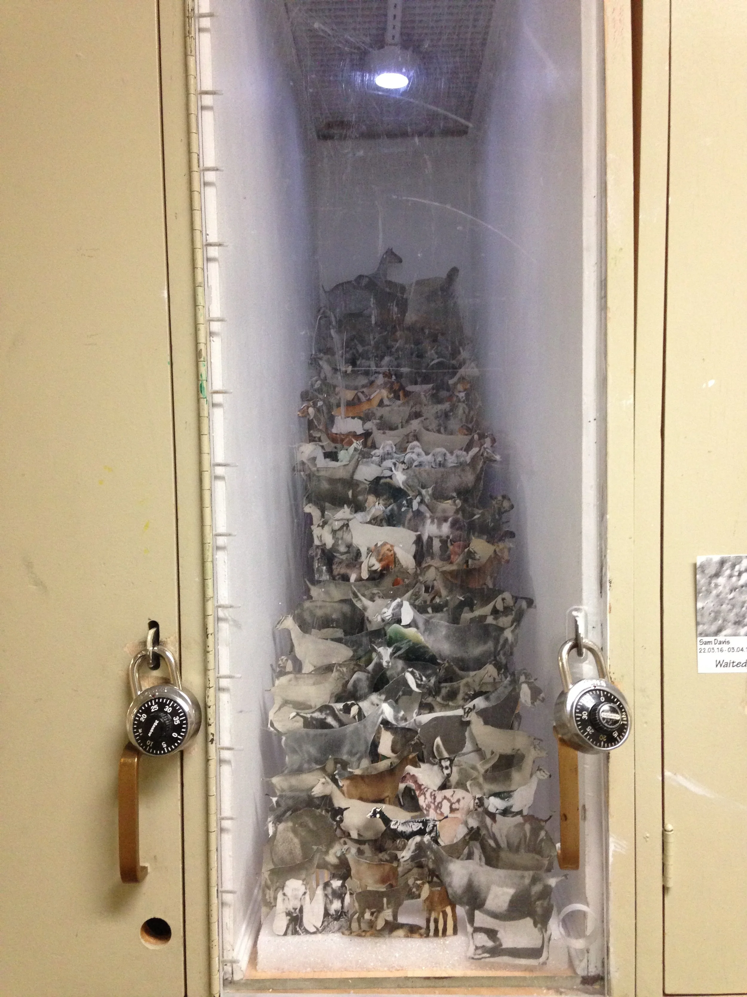 GOAT EXPO.  Niche Gallery, University of Lethbridge
