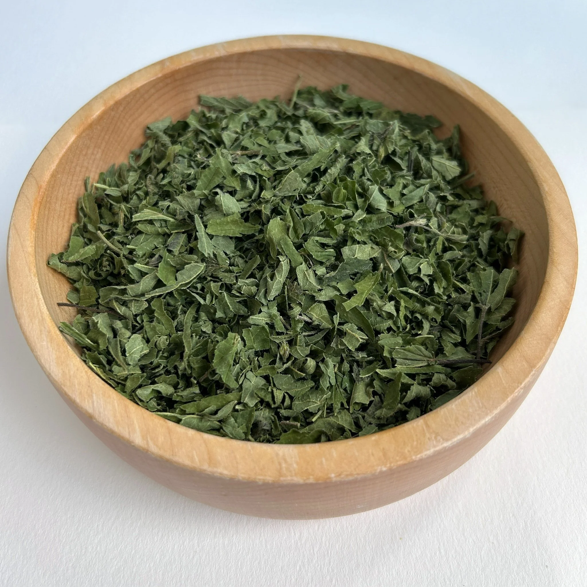Stinging Nettle.jpg