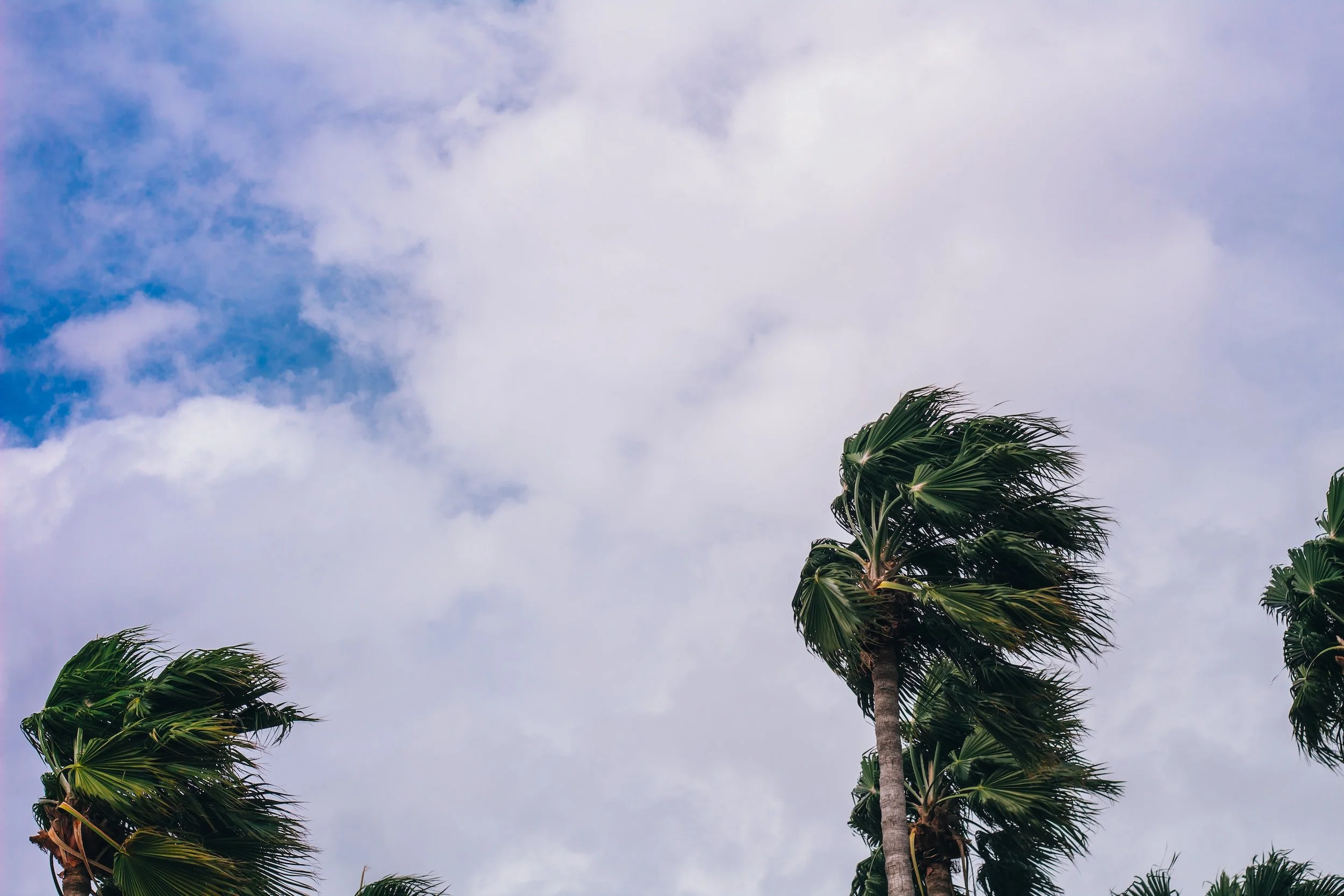 unsplash-image-Oop9PD4c8jA.jpg