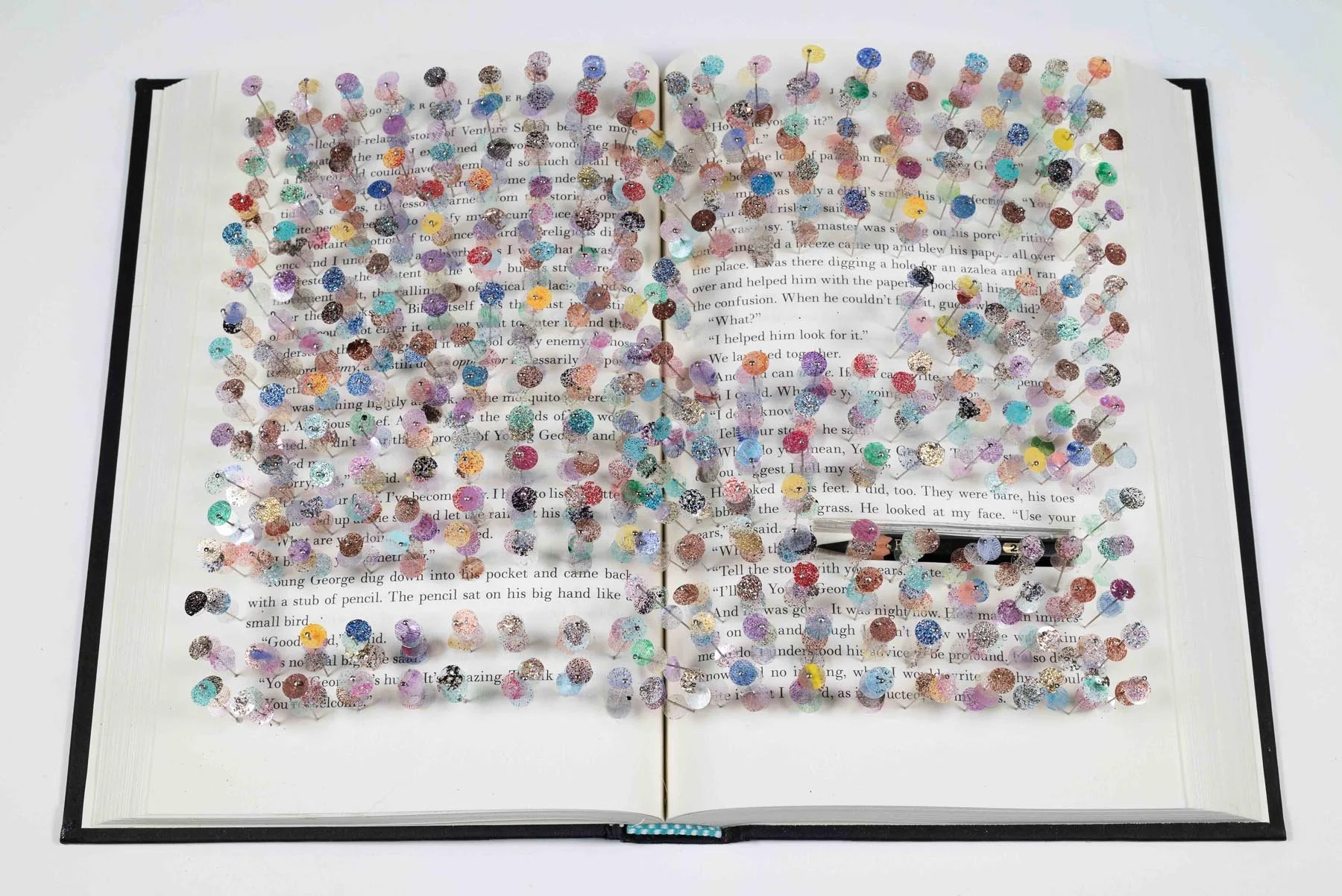 Opening Reception•Bending the Arc