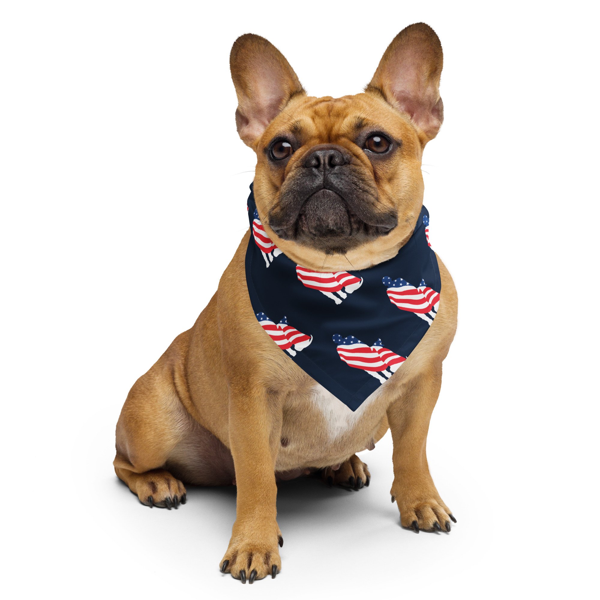 all-over-print-bandana-white-s-front-64701c7949b9a.jpg