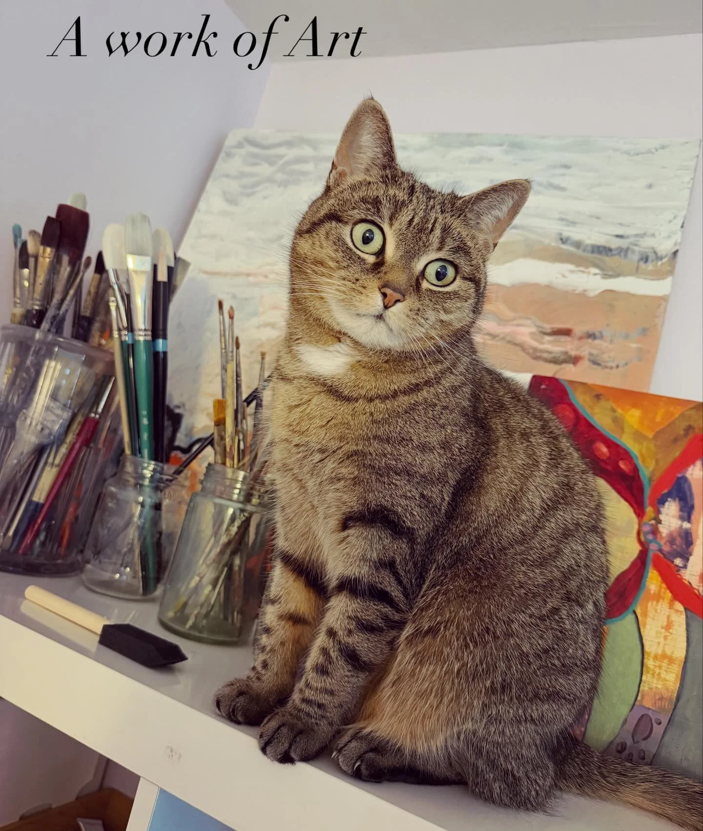 People ask&hellip;How&rsquo;s Mini ?! 

#minididit #workofart #cat