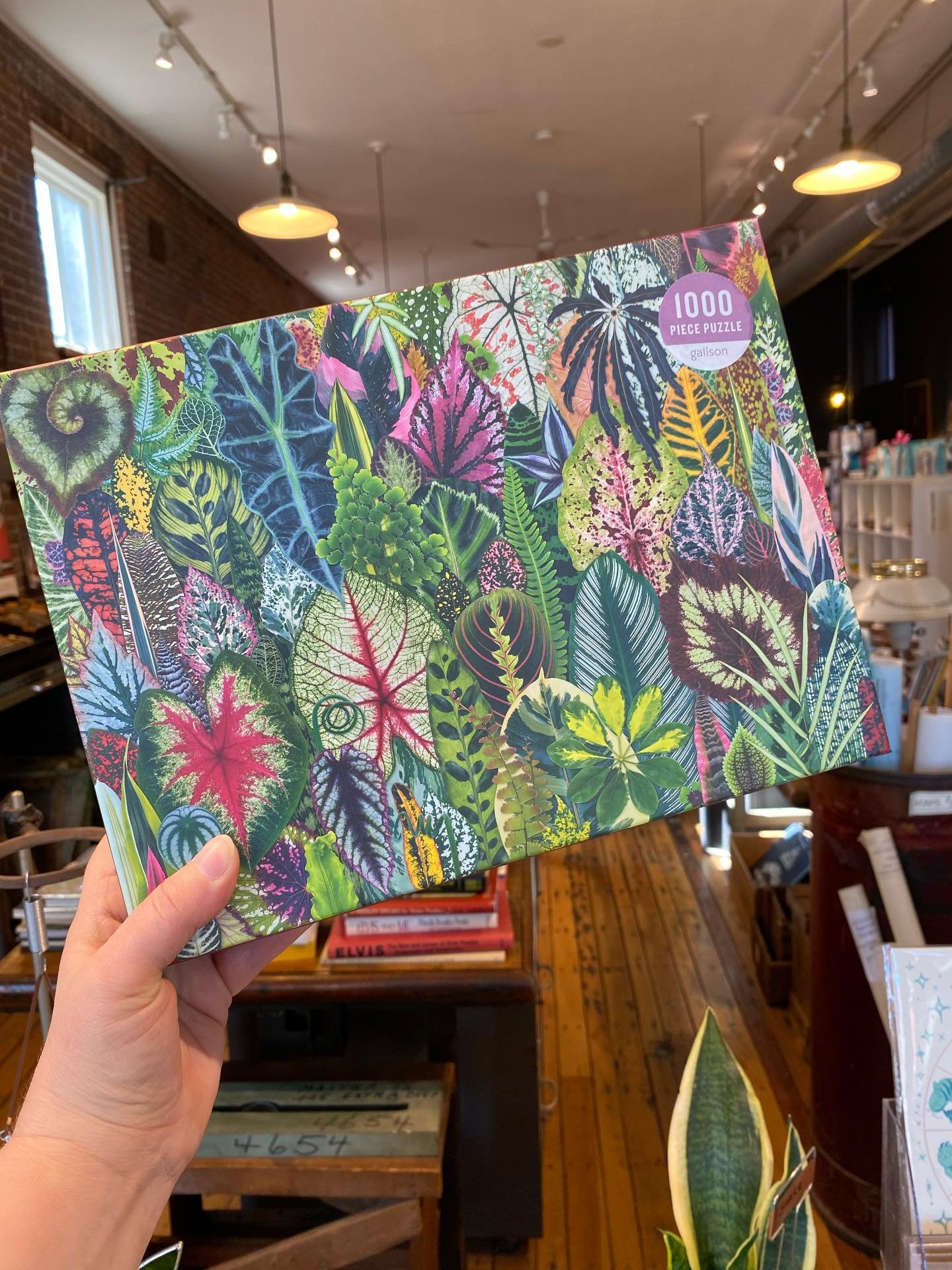 Getting into the spring spirit over here at LOOT!
Fun stuff!
#springvibes #pickleballislife #lootfoundandmade #turnersfallsma #downtownturnersfalls