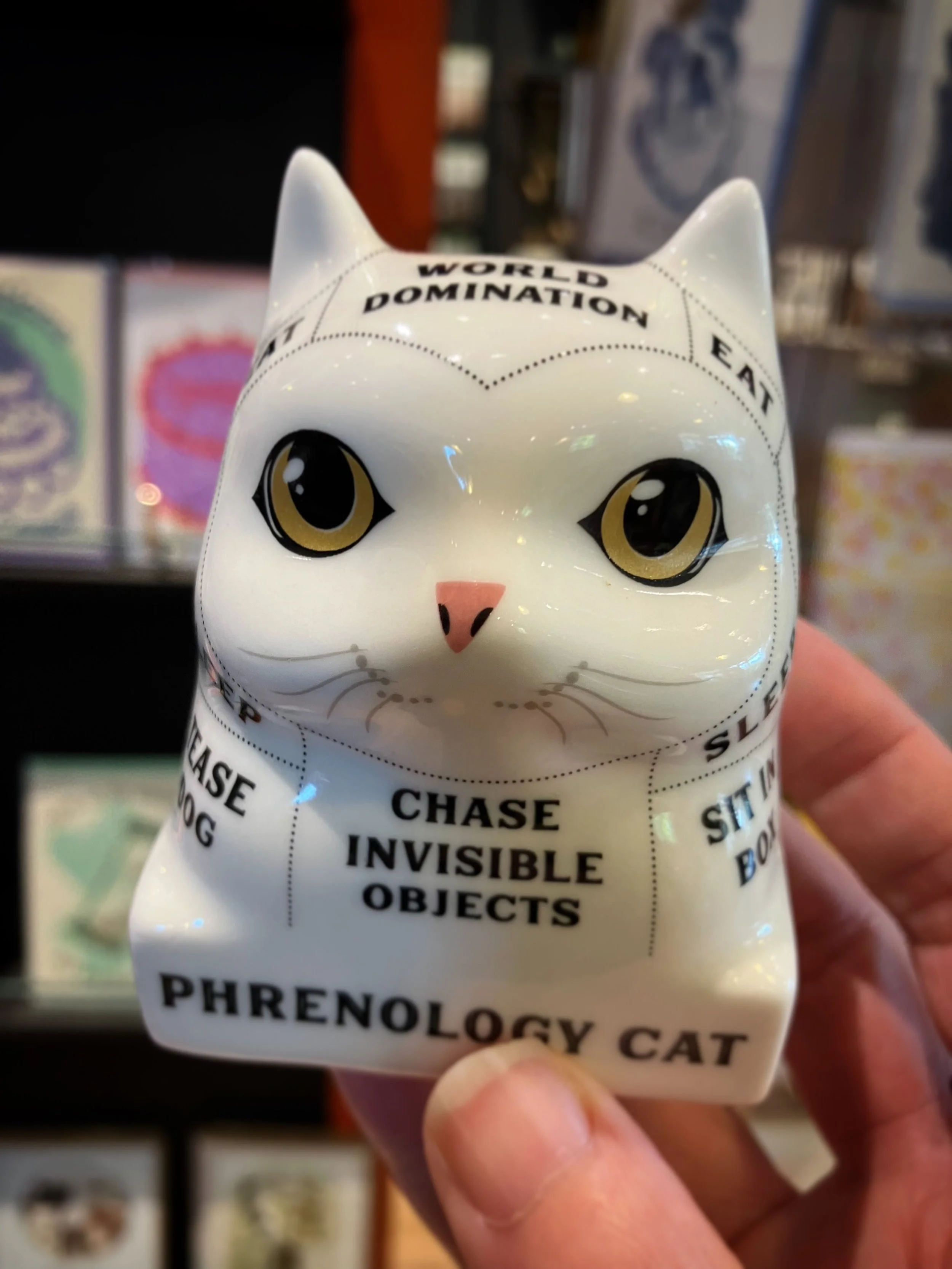 ever wonder what motivates your catto? 😻

#cats #welovecats #phrenology #lootfoundandmade