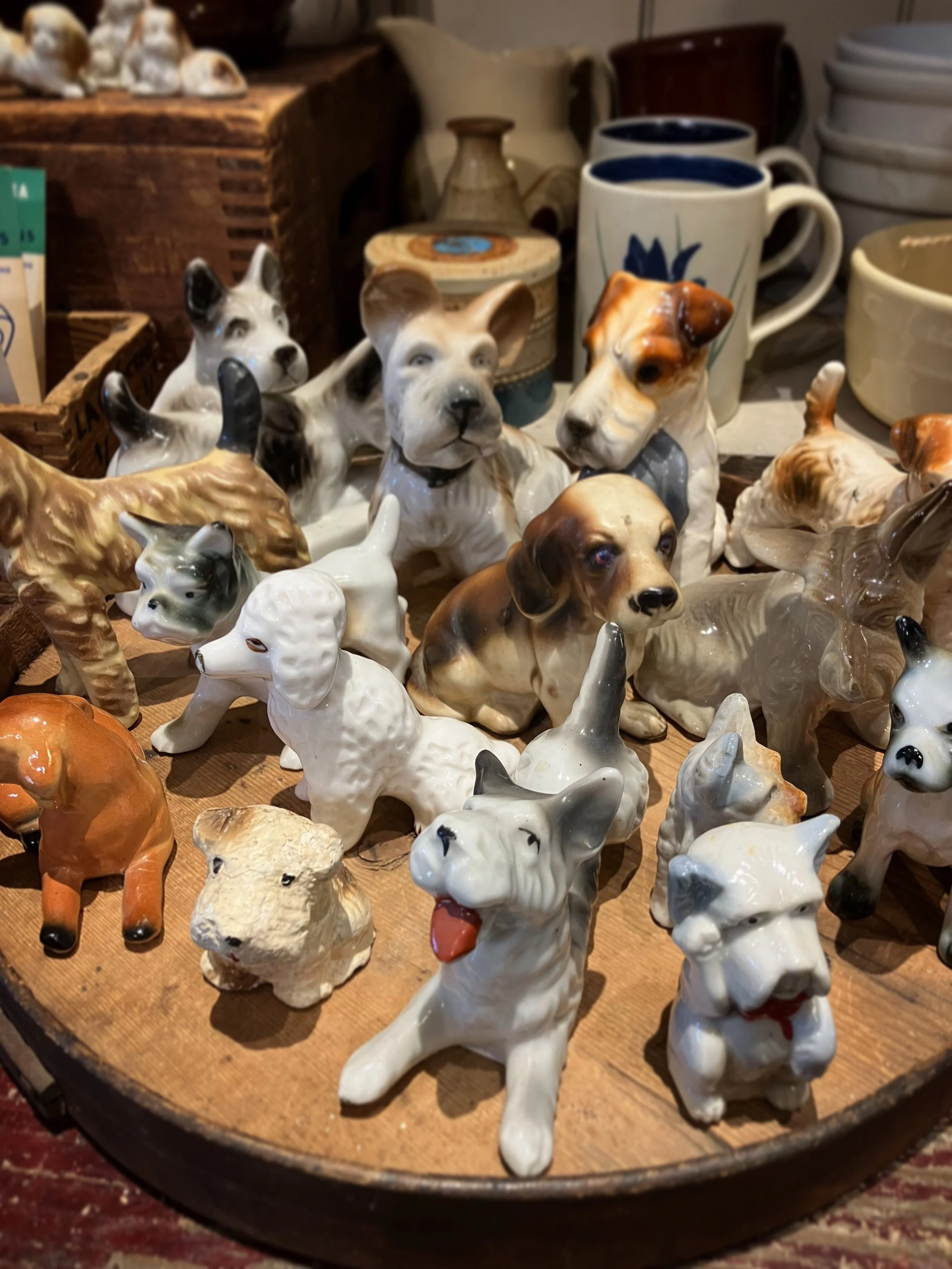 hey dog lovers we finally have some cute doggos in the shop! get em quick before the cattos squeeze em out 🐶