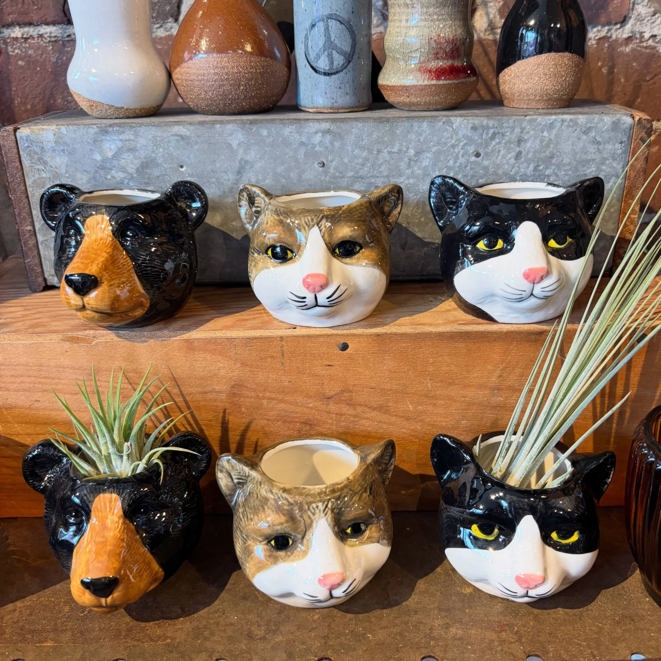 New Loot!
So many fun fall vibes !
#loottheshop #lootfoundandmafe #turnersfalls ma