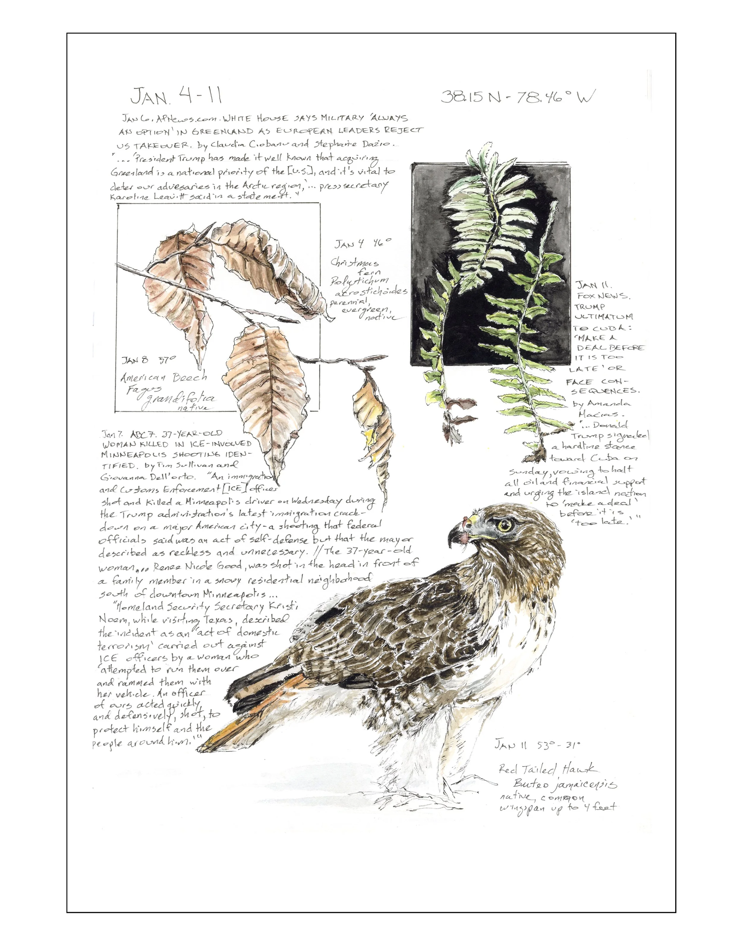 Bearing Witness, Vol 1:  January 4-11 , 2026