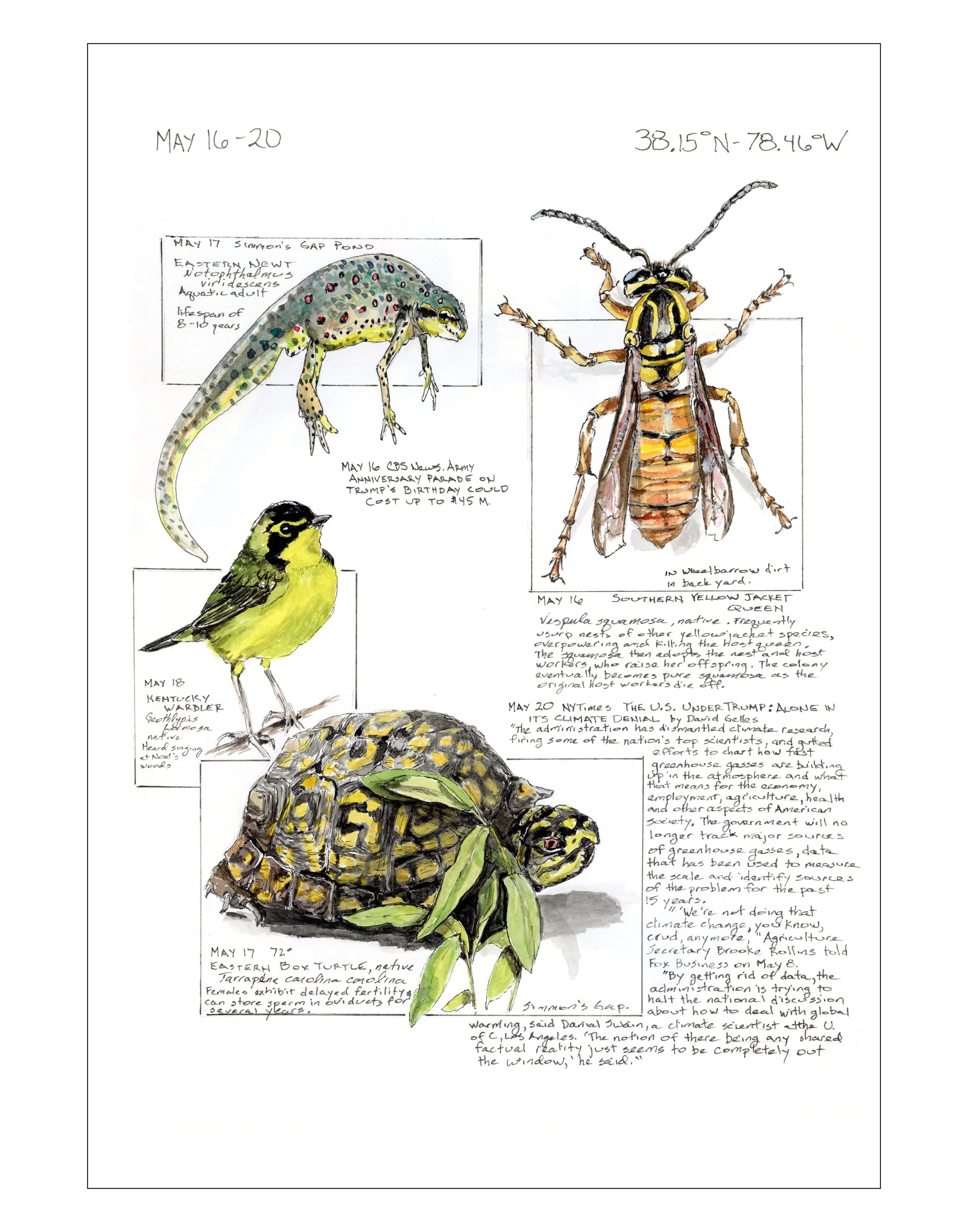 Bearing Witness, Vol 1: May 16-20, 2025