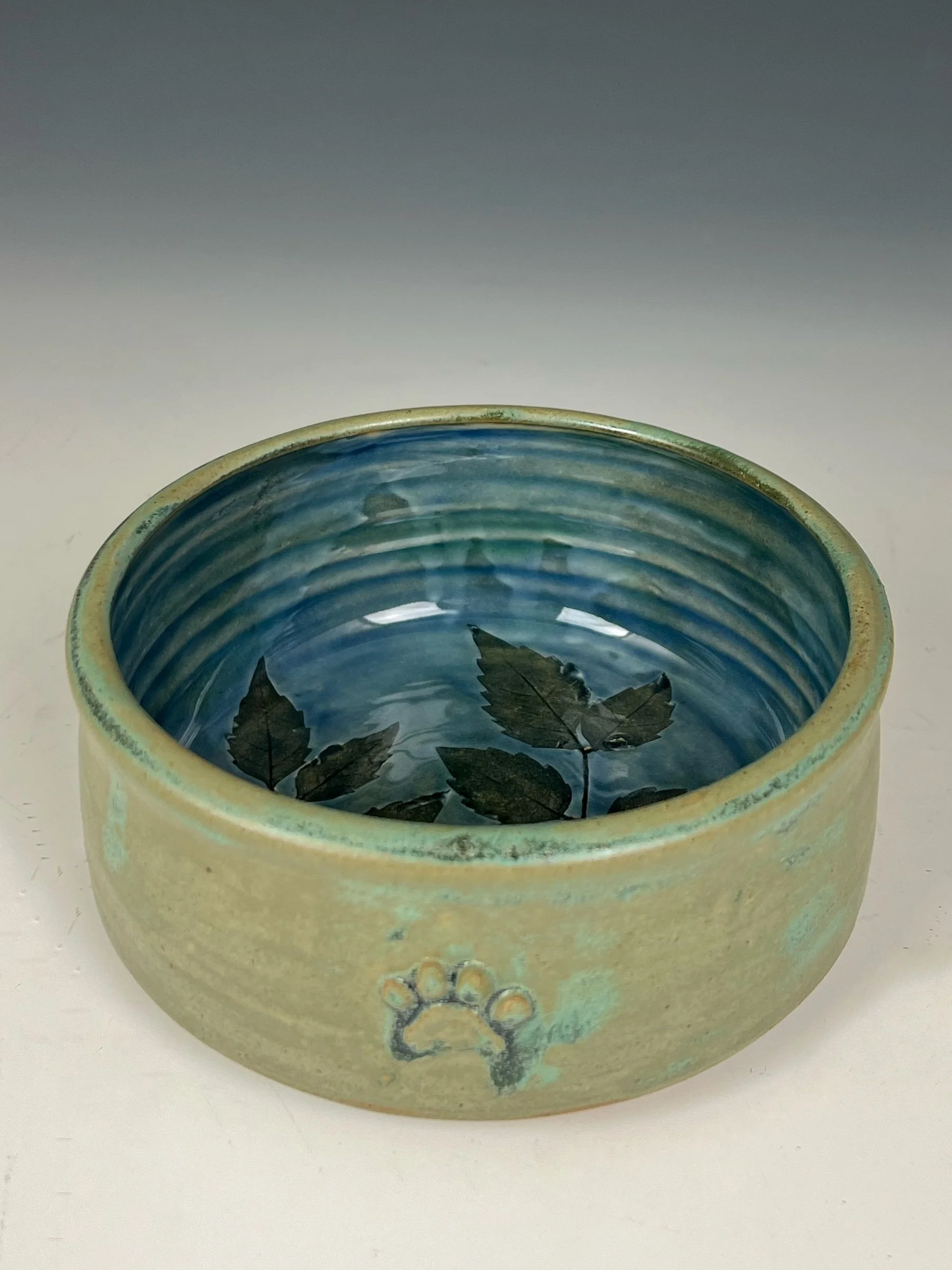 pet bowl 2 quarter.jpg