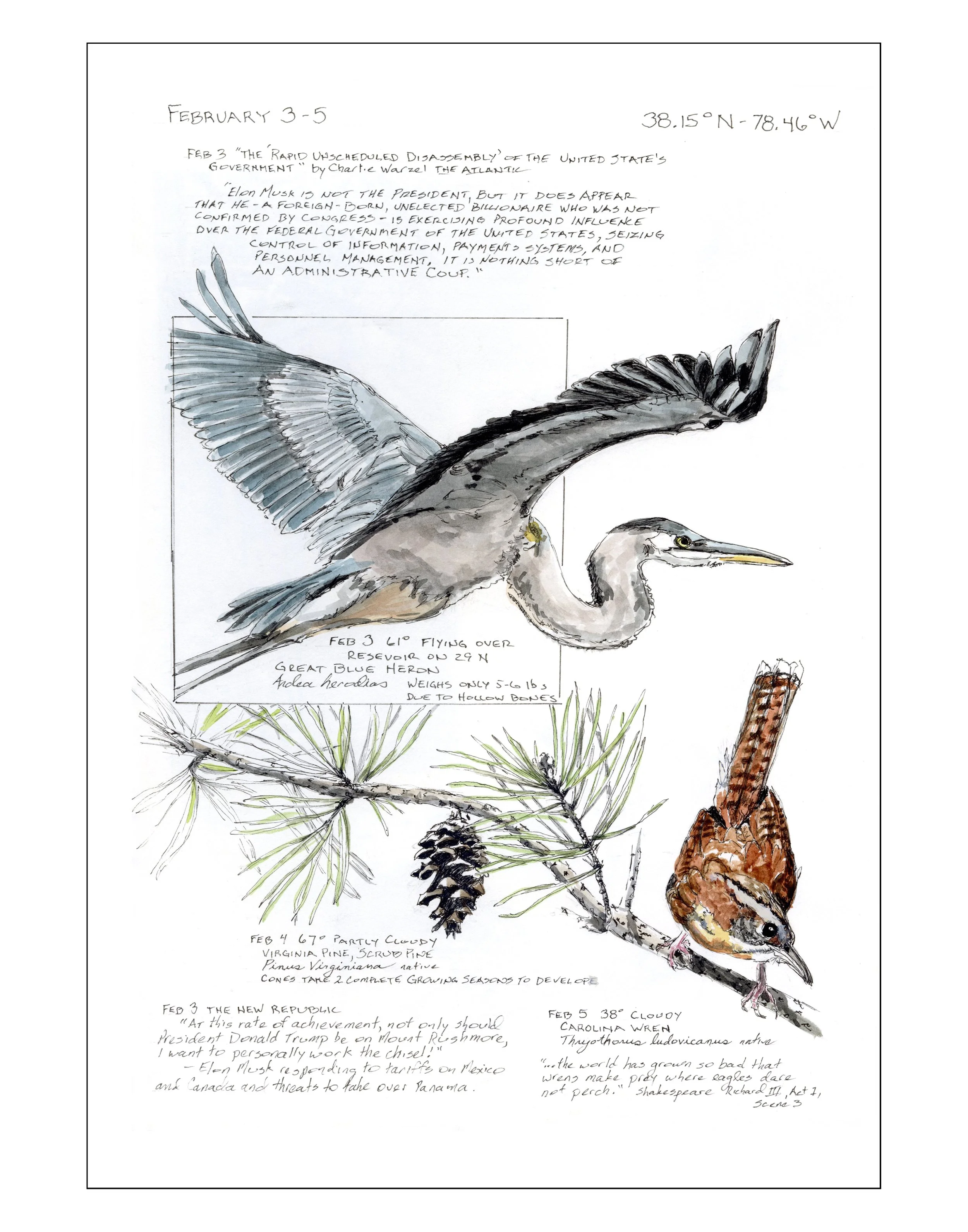 Bearing Witness, Vol 1:  February 3-5, 2025