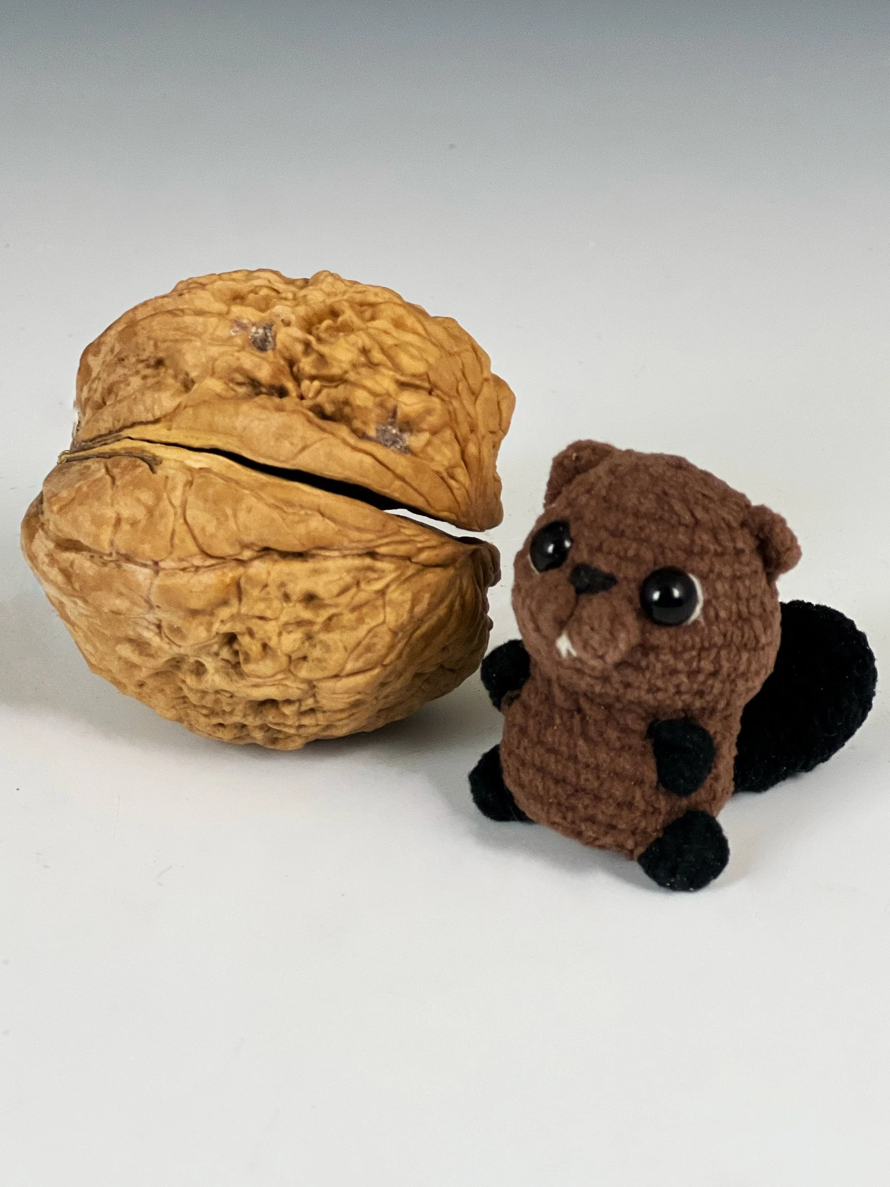 Ukraine Walnut Beaver.jpg