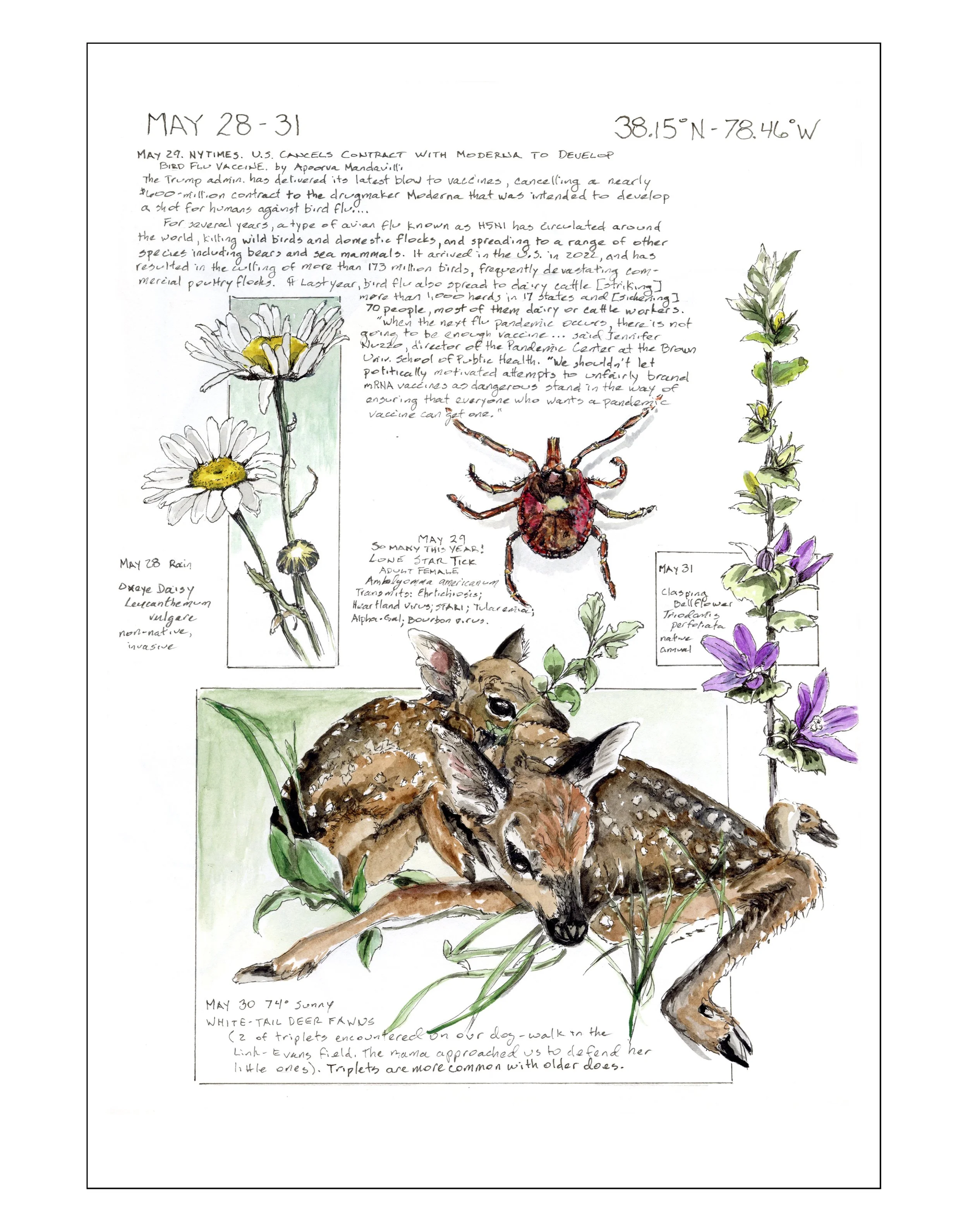 Bearing Witness, Vol 1: May 28-31, 2025