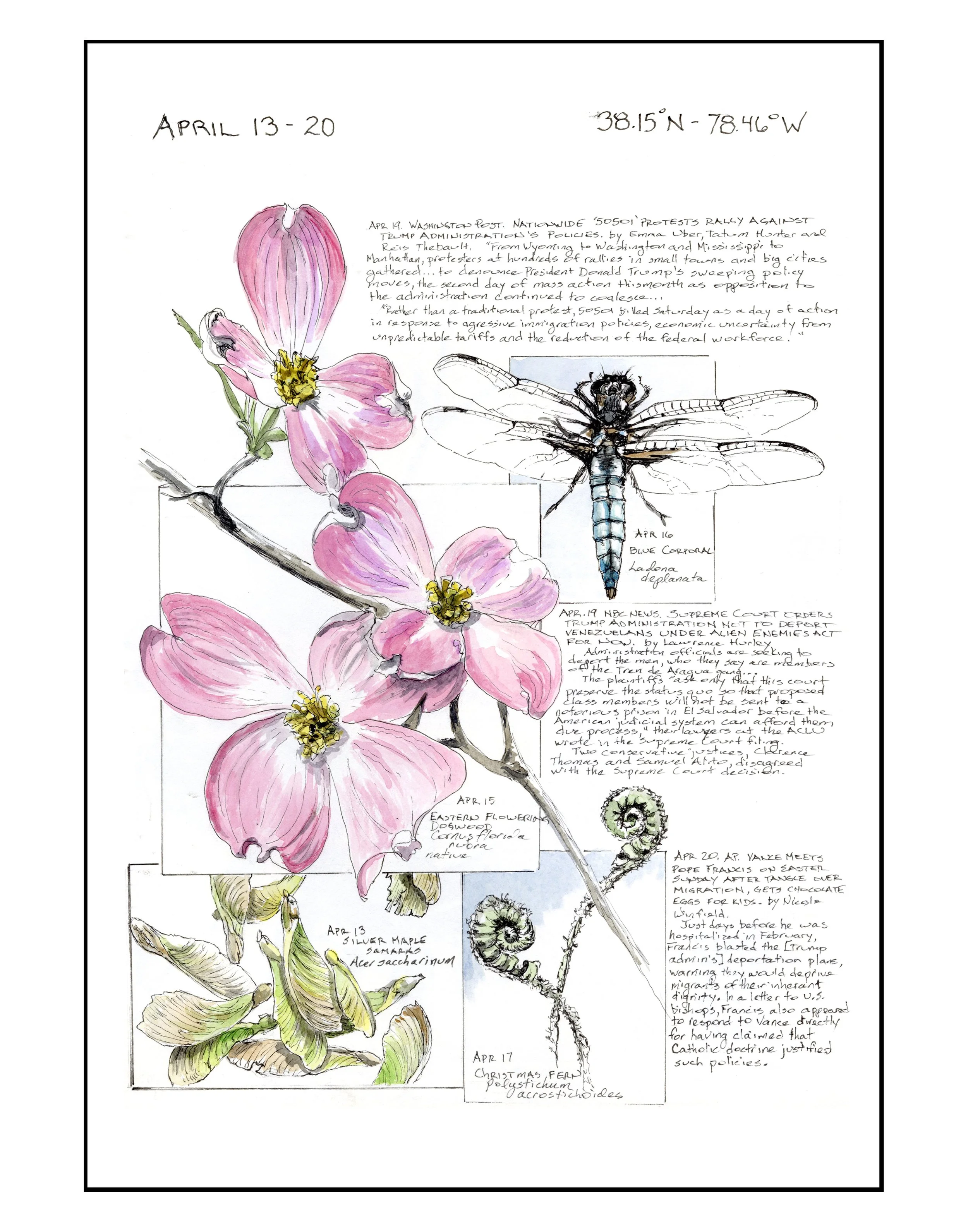 Bearing Witness, Vol 1: April 13-20, 2025