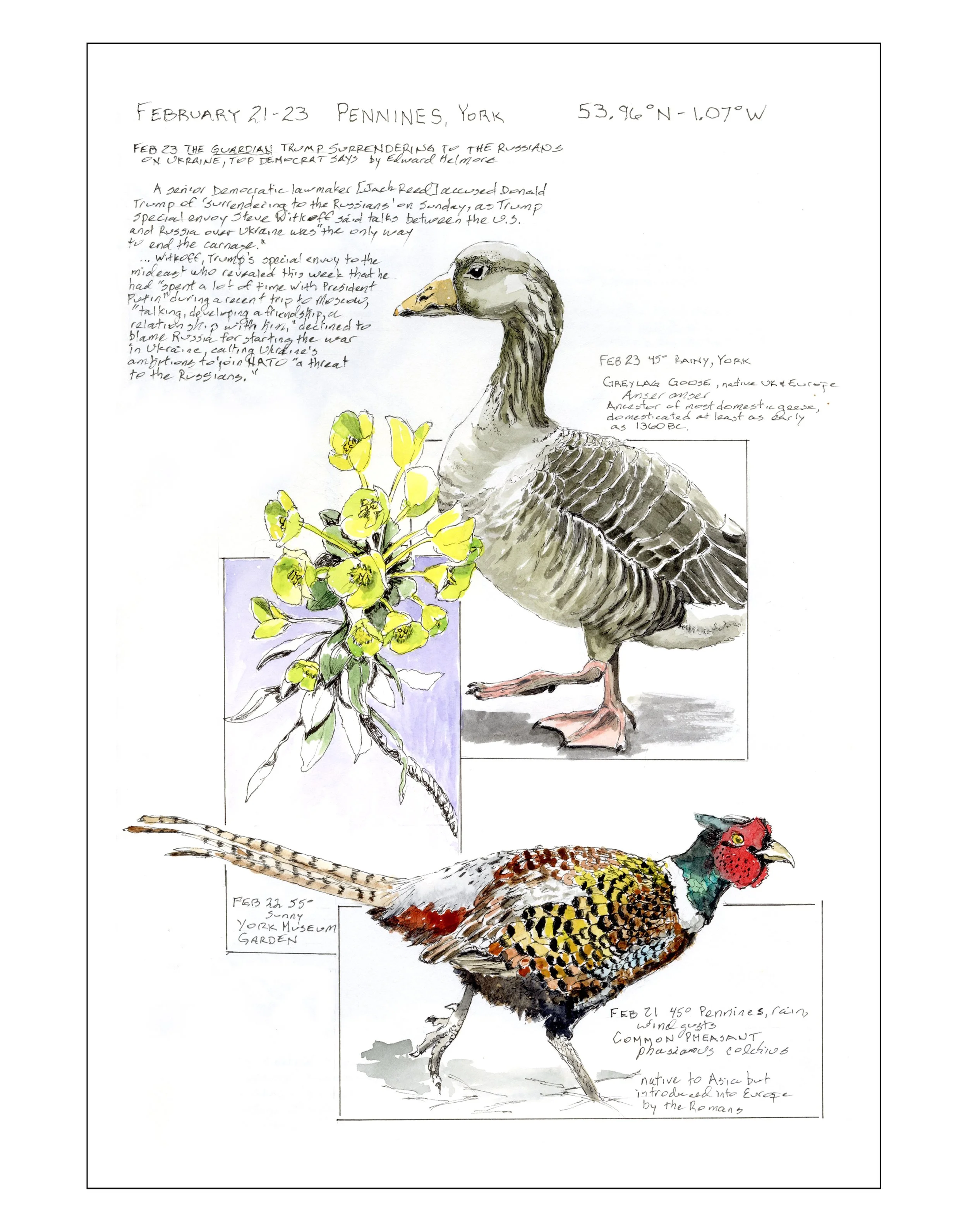 Bearing Witness, Vol 1:  February 21-23, 2025 (Pennines and York, UK)